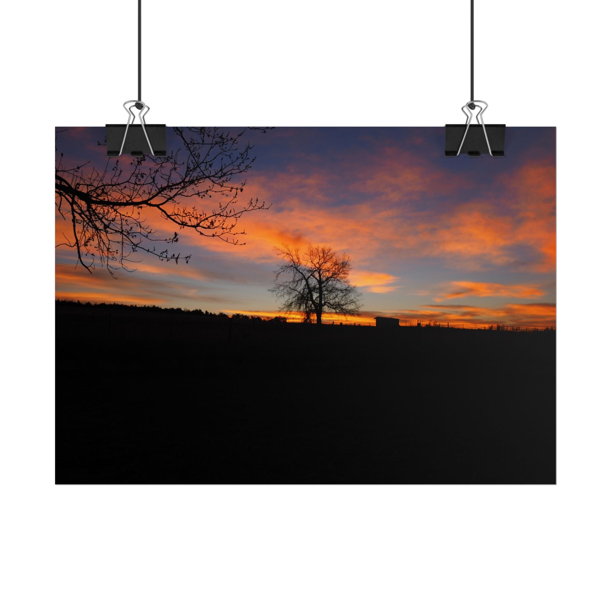 Sunset Silhouette Poster — Lone Tree Sunset Rolled Art Print
