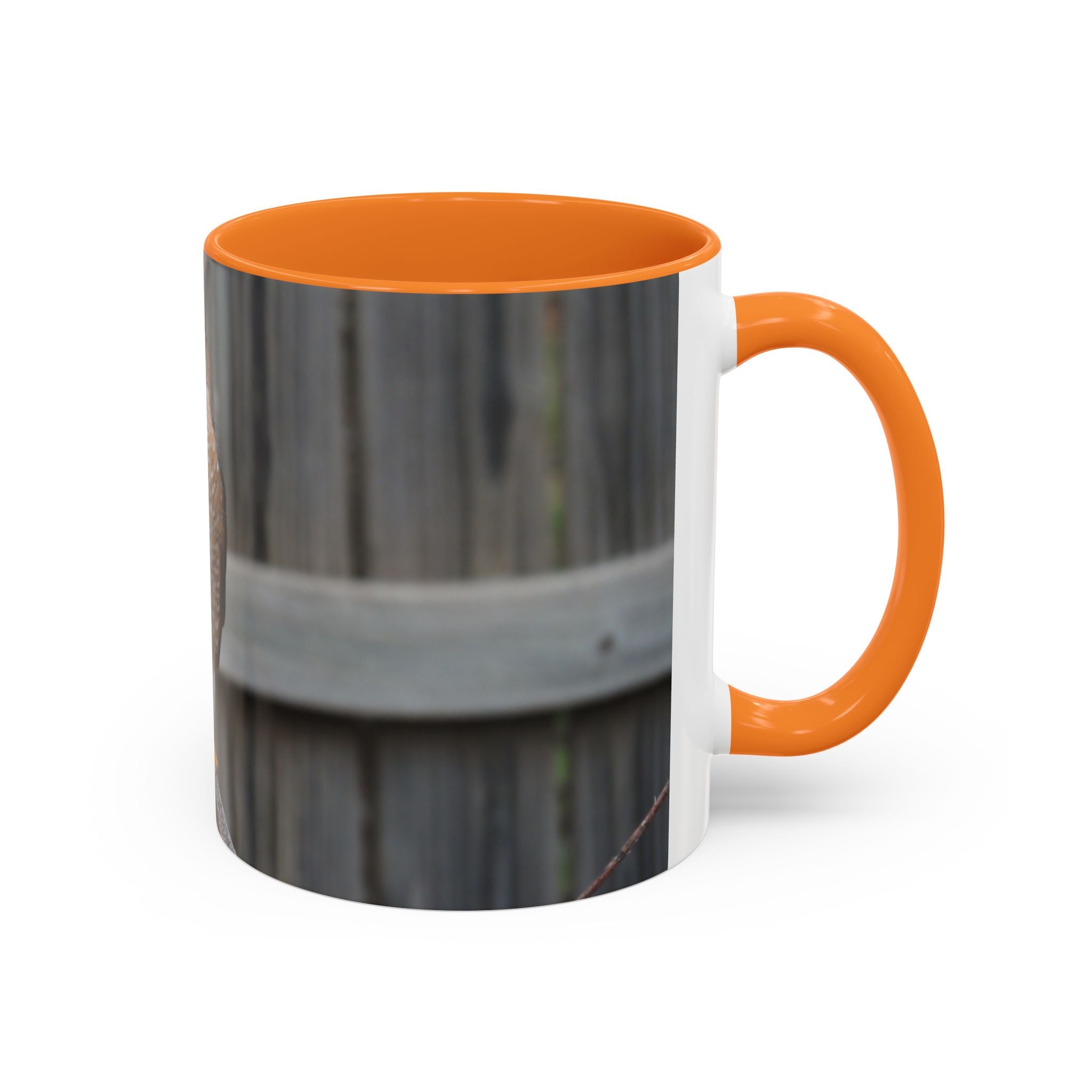 Hawk Photo Mug (11oz/15oz) — Wildlife Coffee Cup with Sharp-Shinned Hawk Image