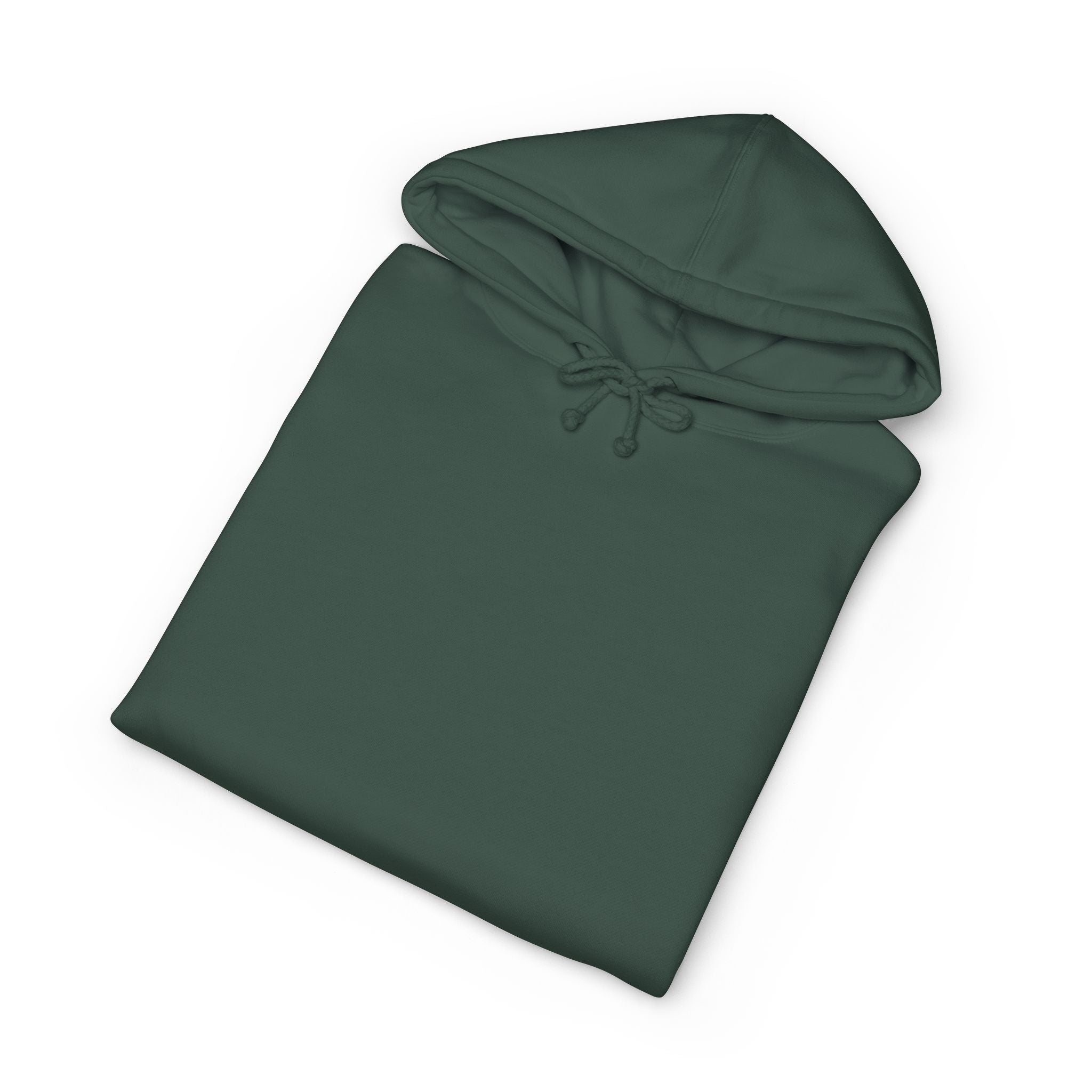 Hoodie — "Today's Not the Day" Highland Cow Graphic Hoodie