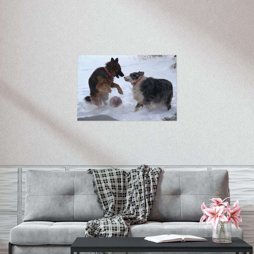 Dog Playful Winter Photo Poster — Two Dogs Playing in Snow Wall Art