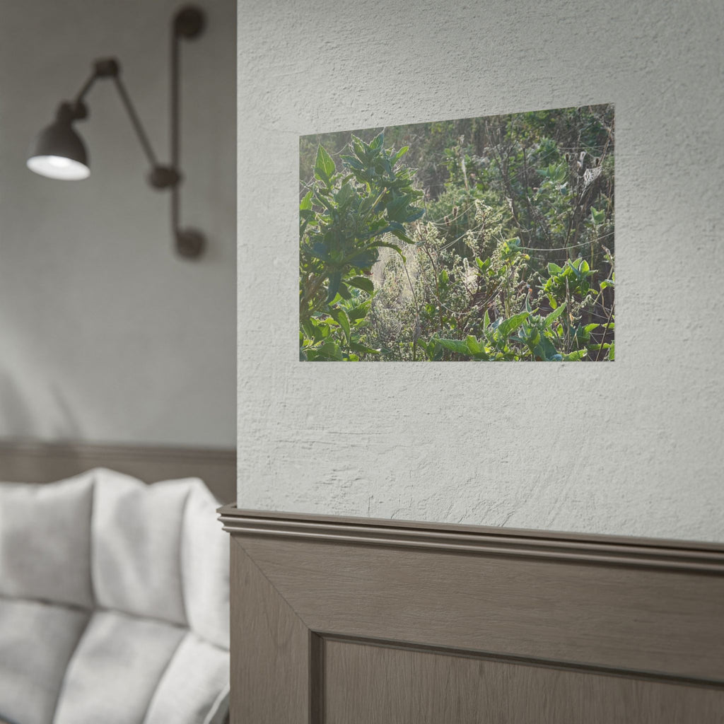 Botanical Greenery Poster — Wild Meadow Spider Web Rolled Art Print
