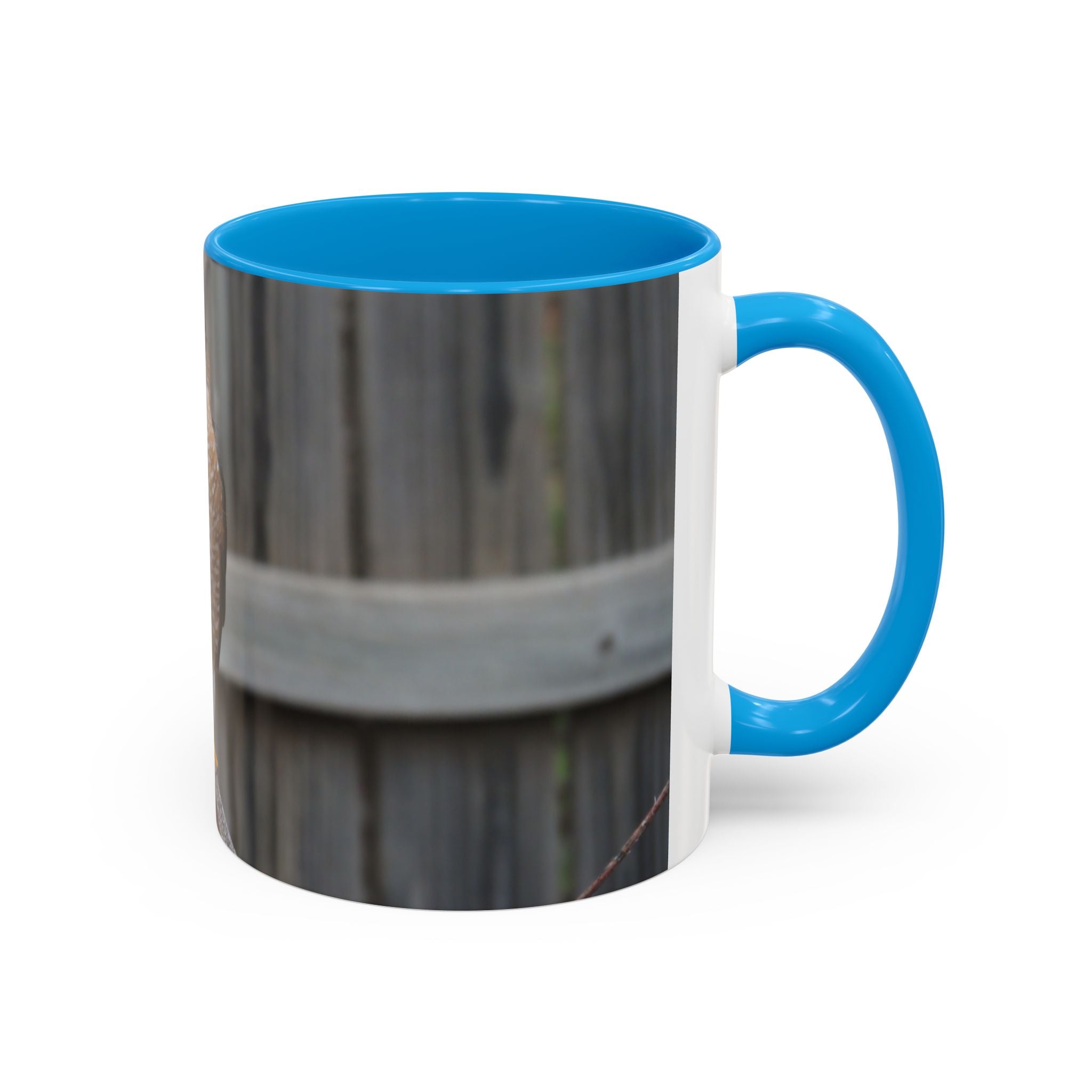 Hawk Photo Mug (11oz/15oz) — Wildlife Coffee Cup with Sharp-Shinned Hawk Image