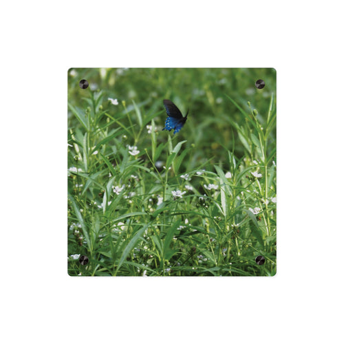 Acrylic Wall Art Panel – Blue Butterfly in Wildflower Meadow