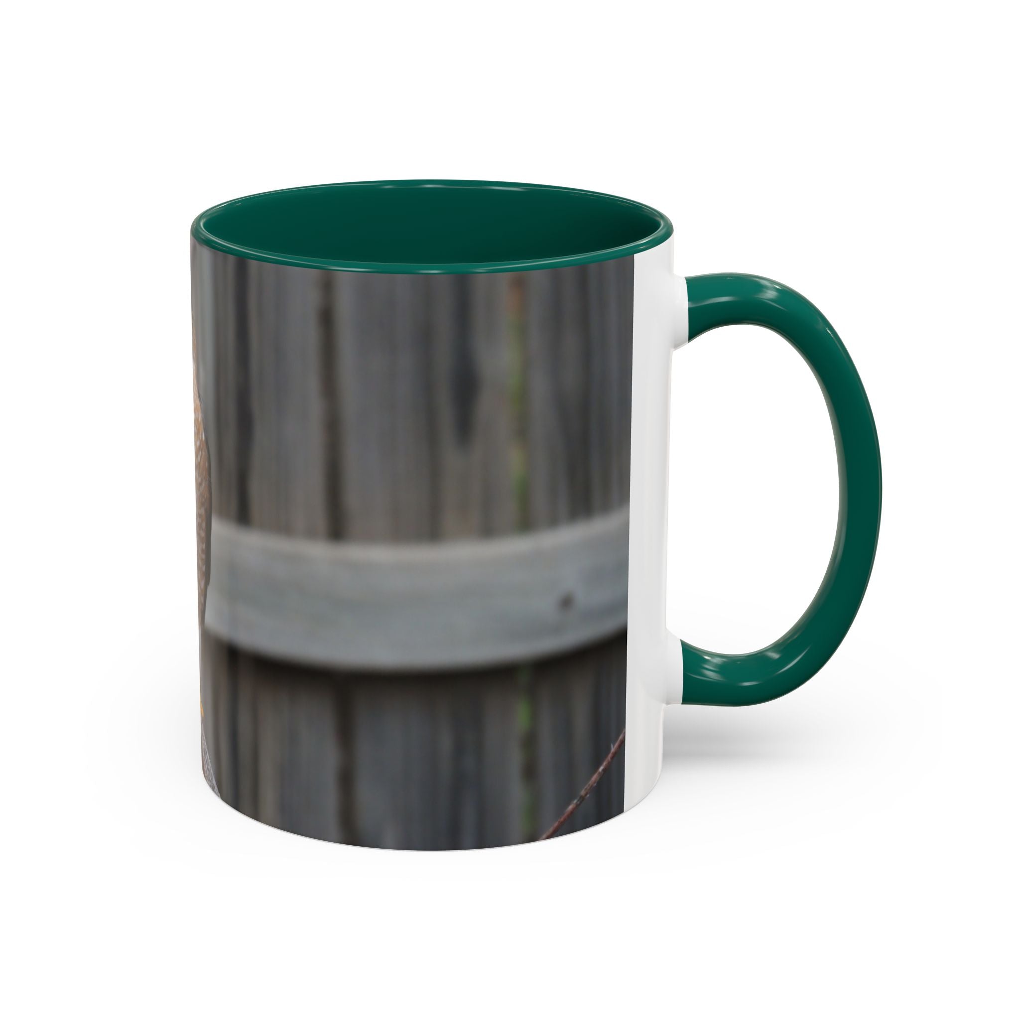 Hawk Photo Mug (11oz/15oz) — Wildlife Coffee Cup with Sharp-Shinned Hawk Image