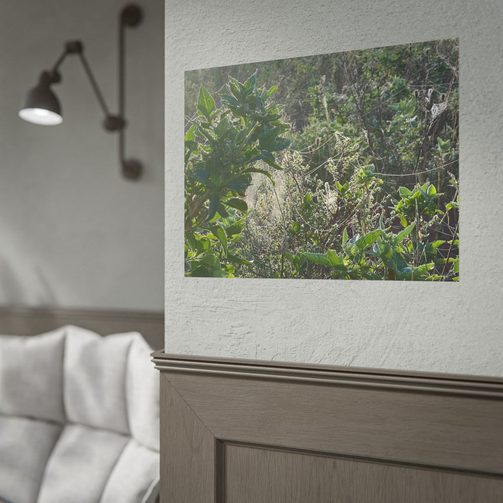 Botanical Greenery Poster — Wild Meadow Spider Web Rolled Art Print
