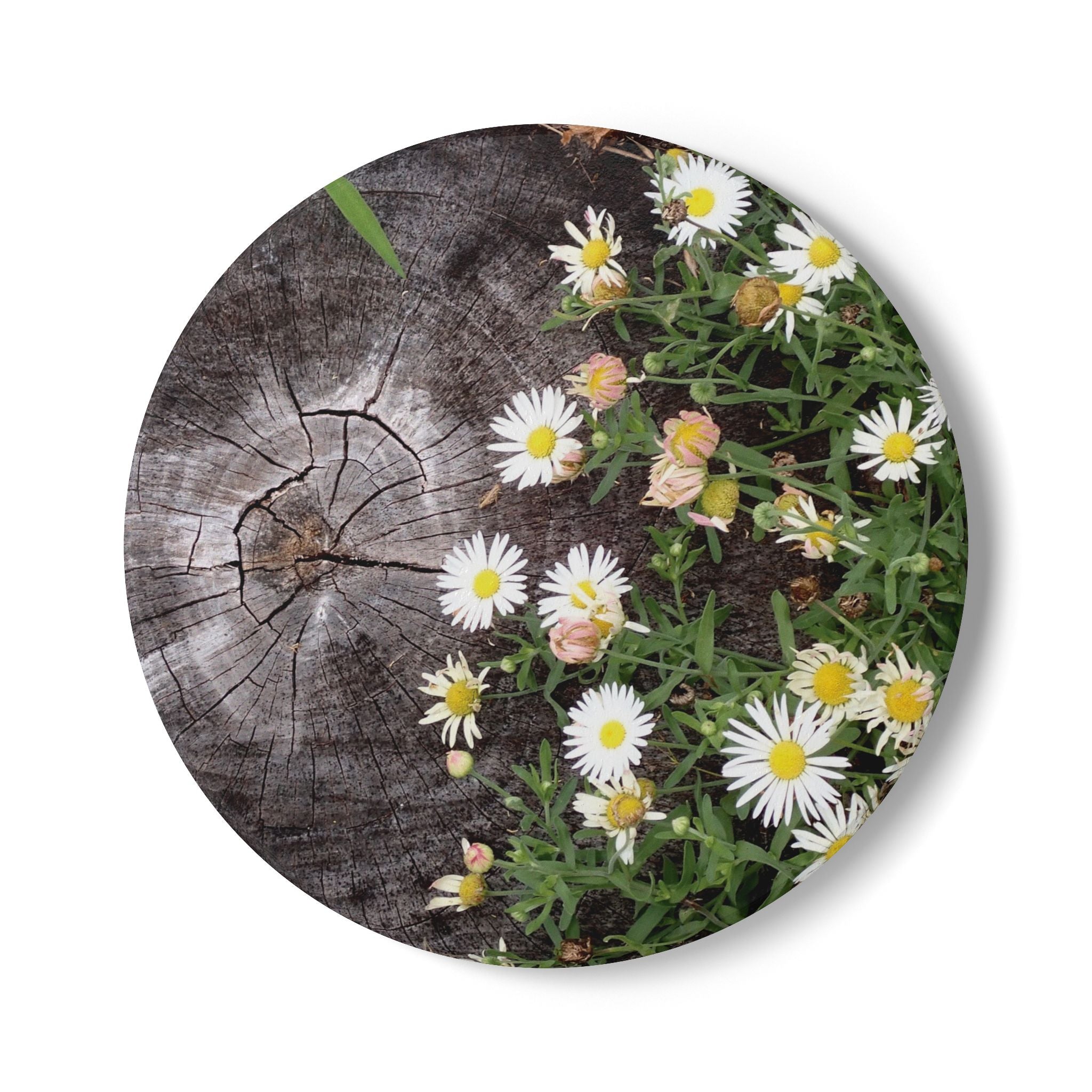 Daisy Meadow Ceramic Coaster — Rustic Wood Stump Floral Drink Mat