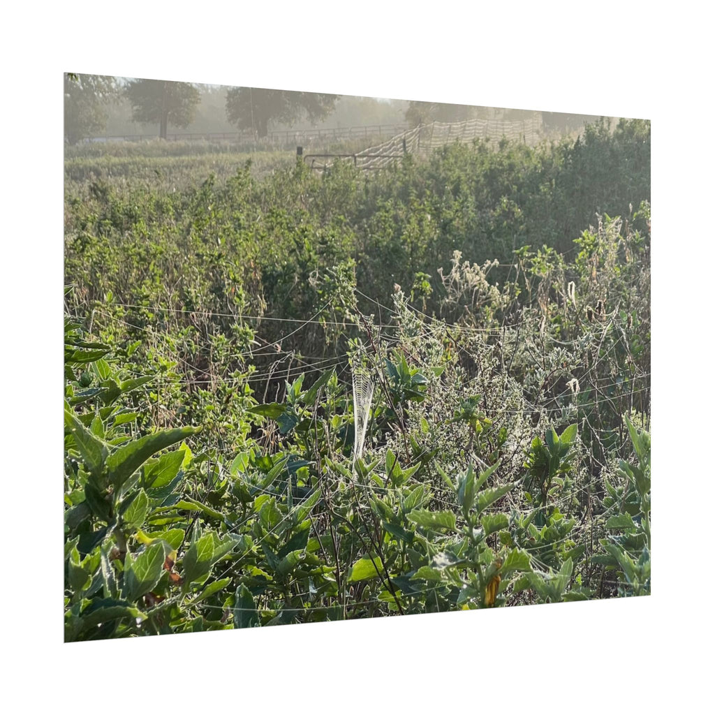 Morning Meadow Rolled Poster — Misty Wildflower Landscape Wall Art