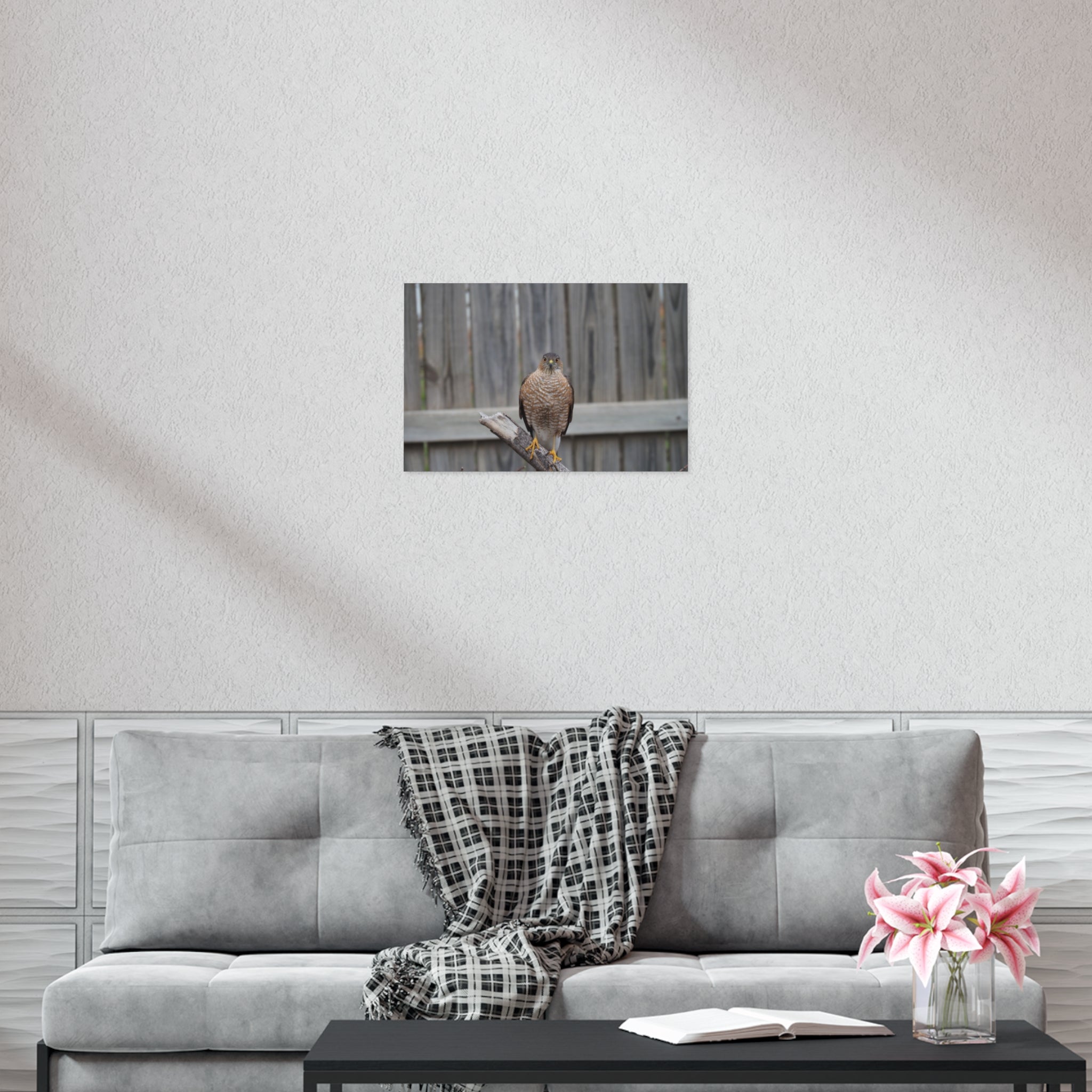 Sharp-Shinned Hawk Photo Poster — Wild Bird Wall Art Print