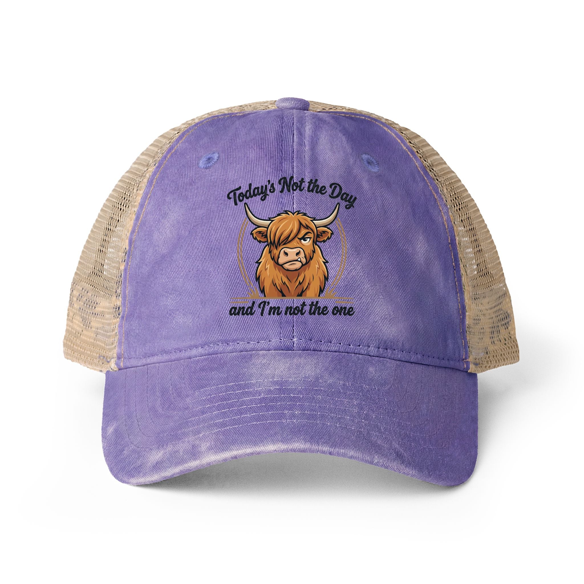 Todays not the Day Women's Washed Mesh-Back Cap