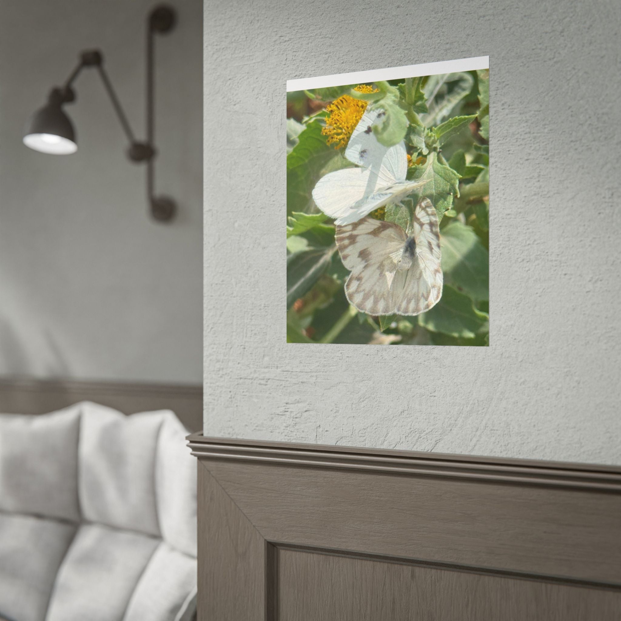 Butterfly Close-Up Rolled Poster — Nature Photography Wall Art