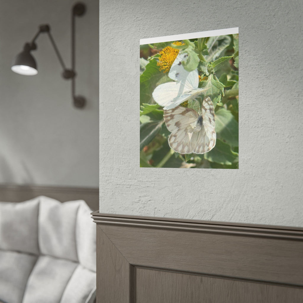 Butterfly Close-Up Rolled Poster — Nature Photography Wall Art