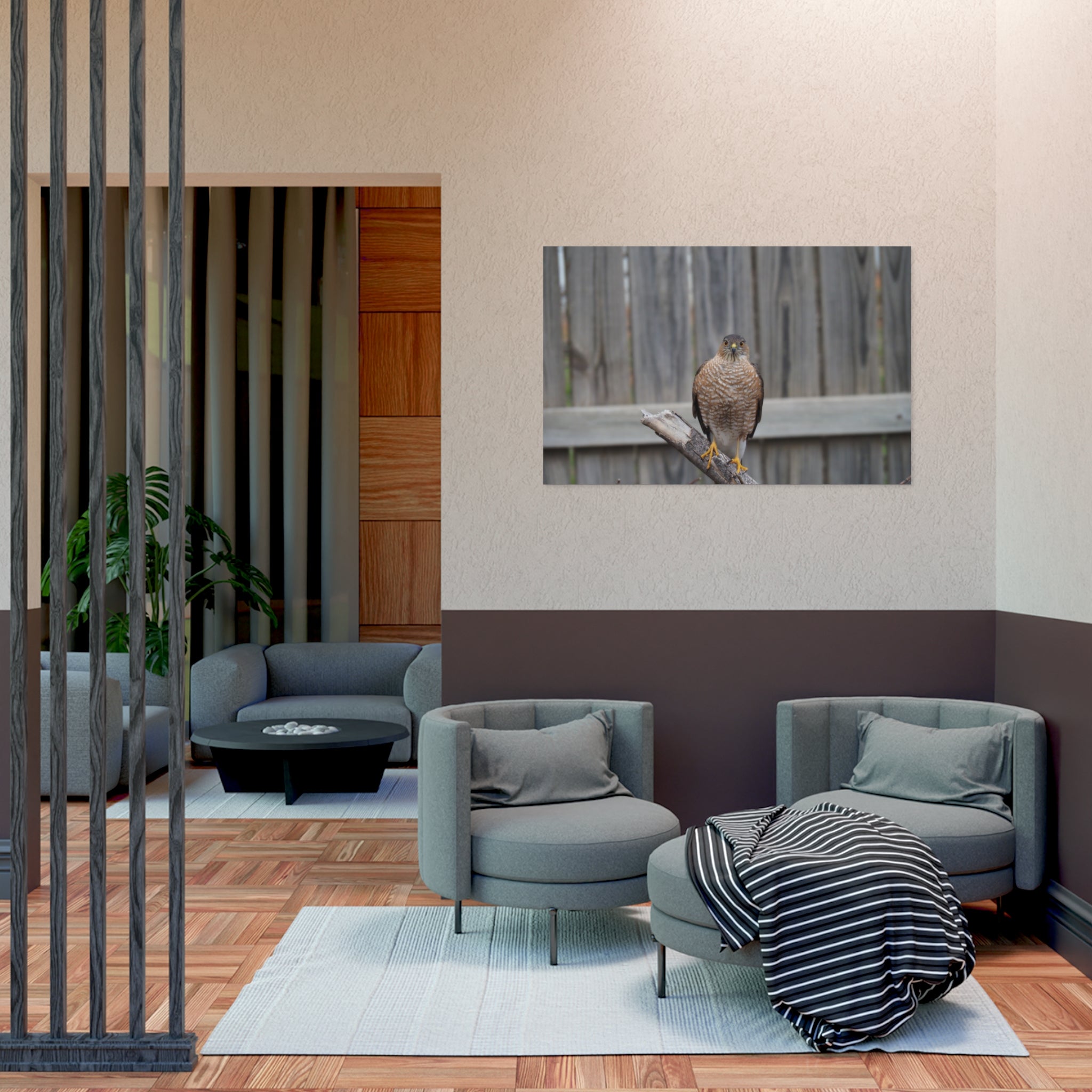 Sharp-Shinned Hawk Photo Poster — Wild Bird Wall Art Print