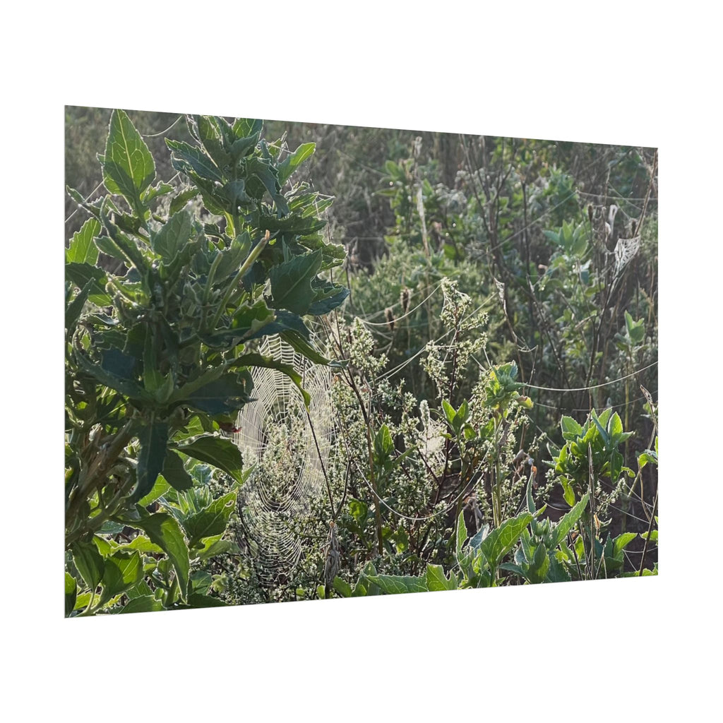 Botanical Greenery Poster — Wild Meadow Spider Web Rolled Art Print