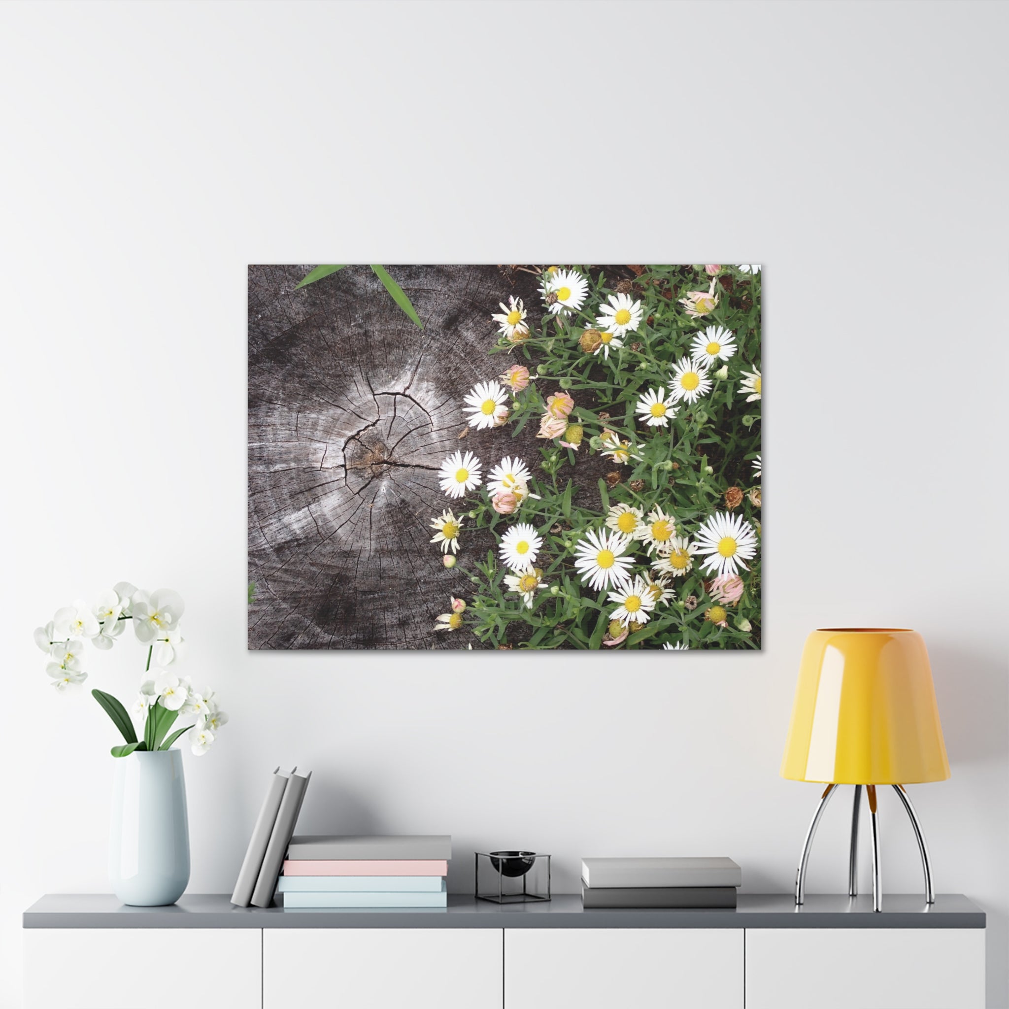 Daisies on Weathered Wood Canvas Wall Art