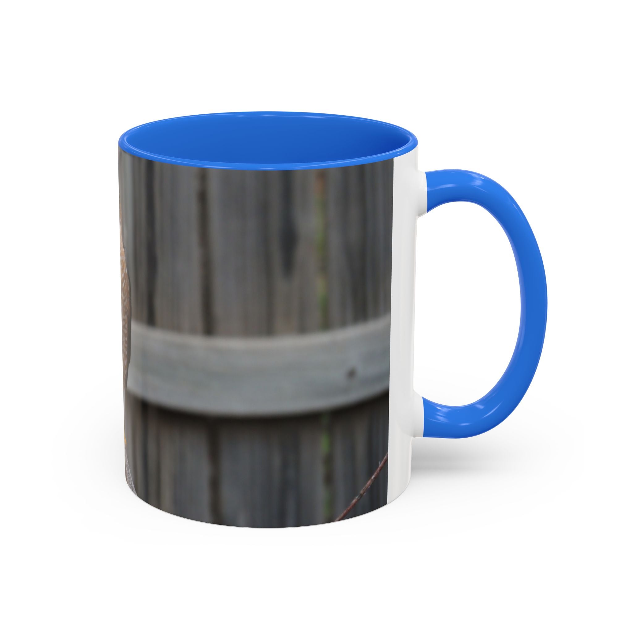 Hawk Photo Mug (11oz/15oz) — Wildlife Coffee Cup with Sharp-Shinned Hawk Image