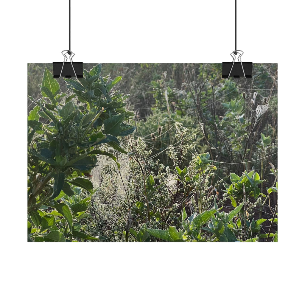 Botanical Greenery Poster — Wild Meadow Spider Web Rolled Art Print