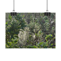 Botanical Greenery Poster — Wild Meadow Spider Web Rolled Art Print