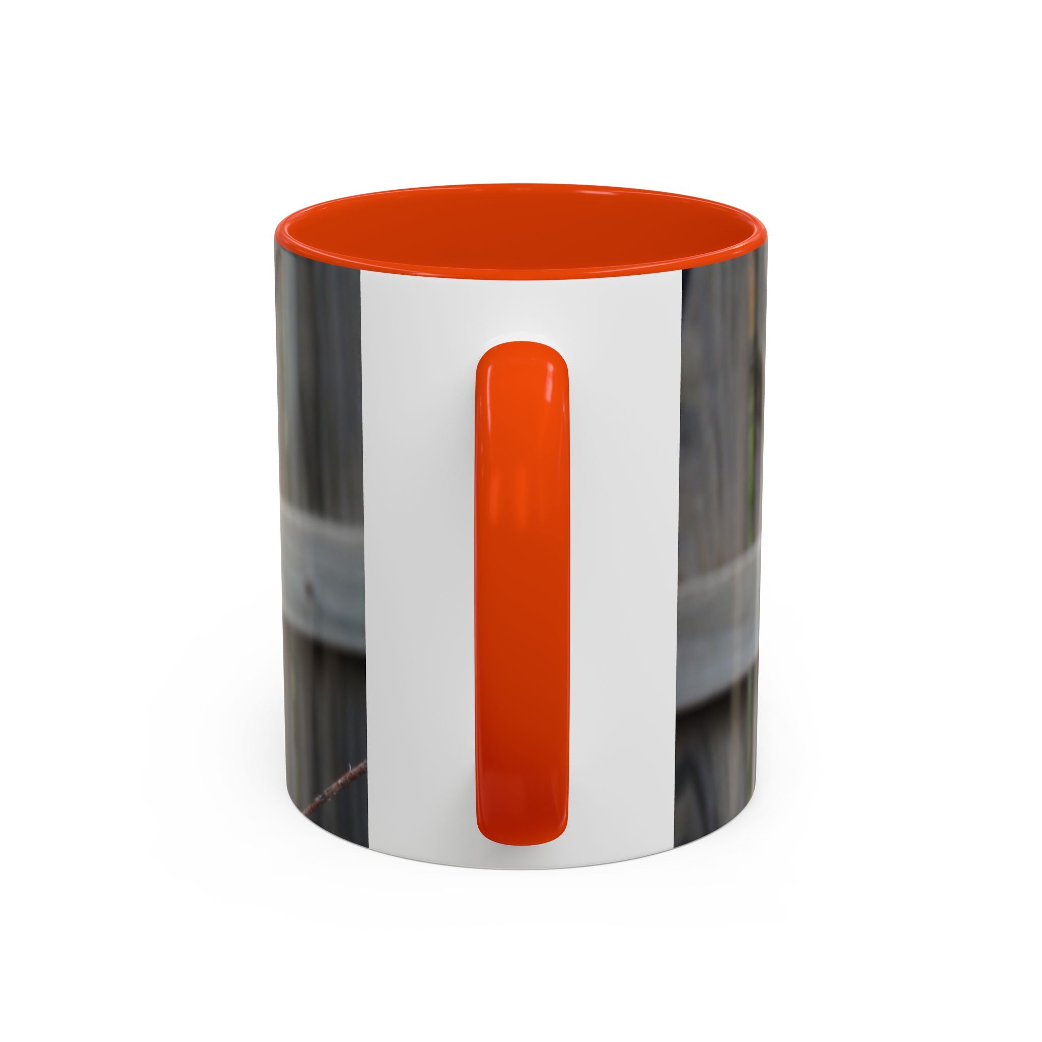 Hawk Photo Mug (11oz/15oz) — Wildlife Coffee Cup with Sharp-Shinned Hawk Image