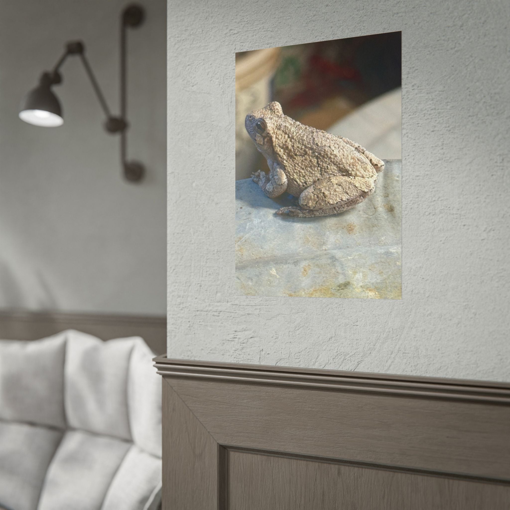 Tree Frog Photography Poster – Nature Wildlife Rolled Wall Art