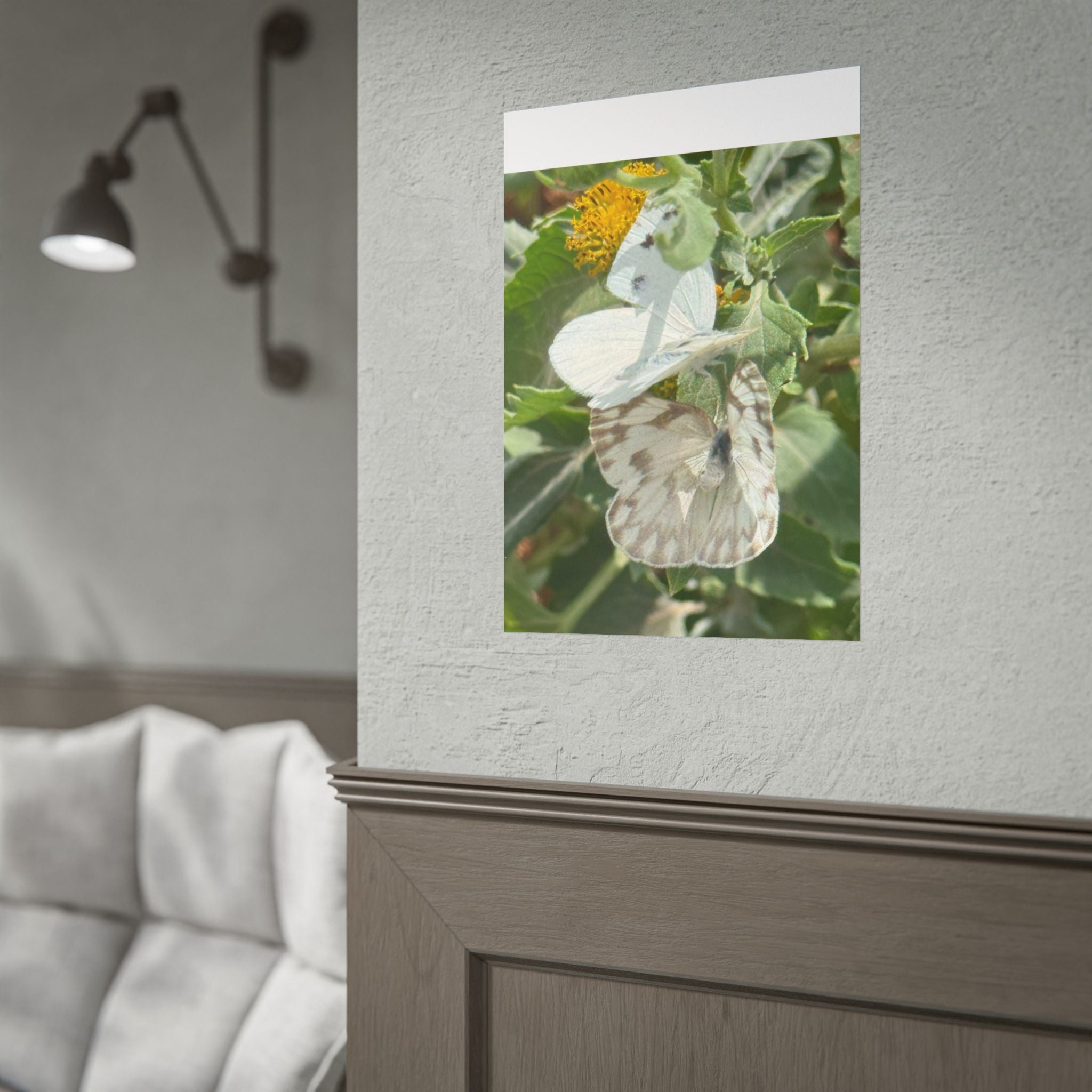 Butterfly Close-Up Rolled Poster — Nature Photography Wall Art