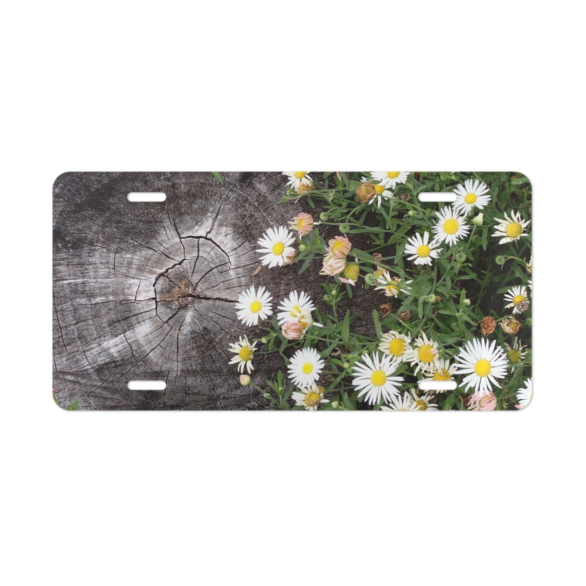 Daisies on Weathered Wood Vanity Plate - Floral License Plate