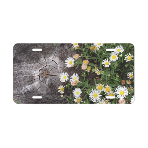 Daisies on Weathered Wood Vanity Plate - Floral License Plate