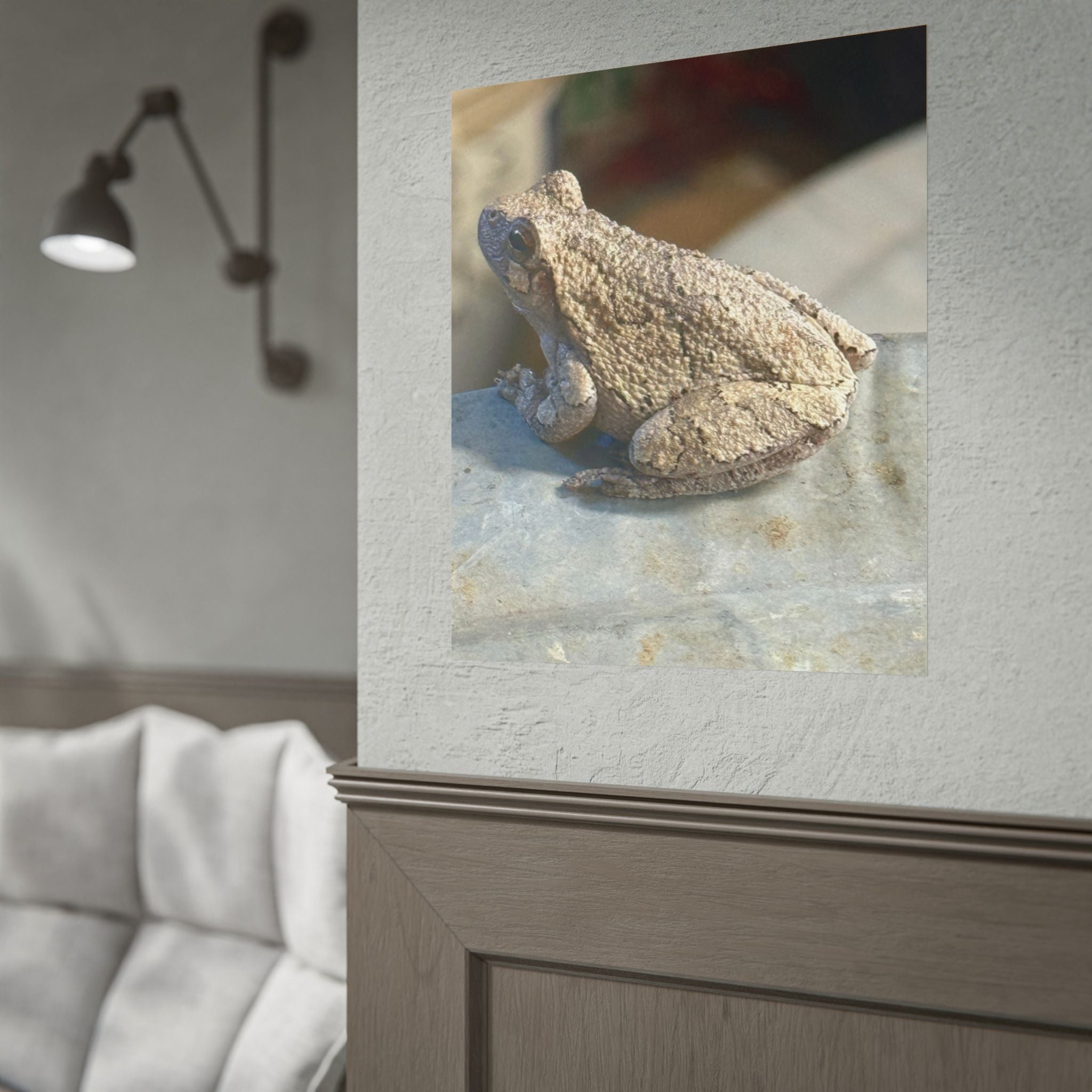 Tree Frog Photography Poster – Nature Wildlife Rolled Wall Art