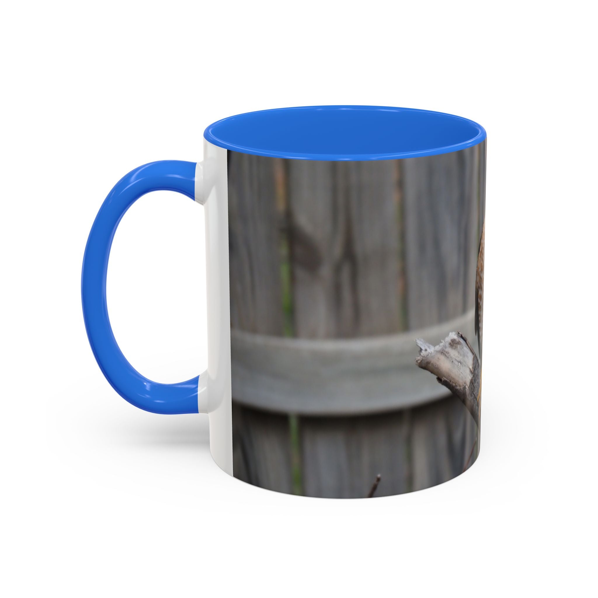 Hawk Photo Mug (11oz/15oz) — Wildlife Coffee Cup with Sharp-Shinned Hawk Image