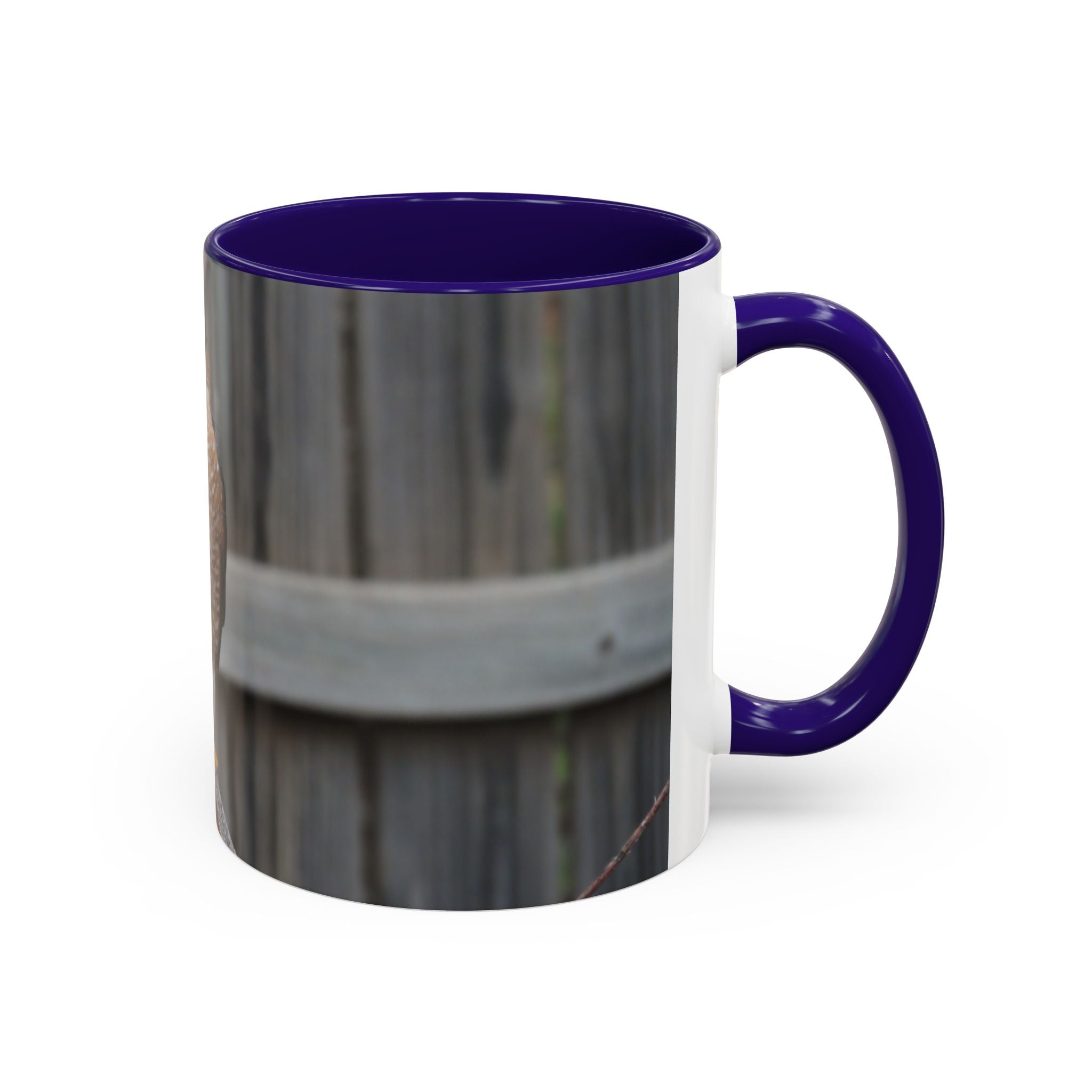 Hawk Photo Mug (11oz/15oz) — Wildlife Coffee Cup with Sharp-Shinned Hawk Image