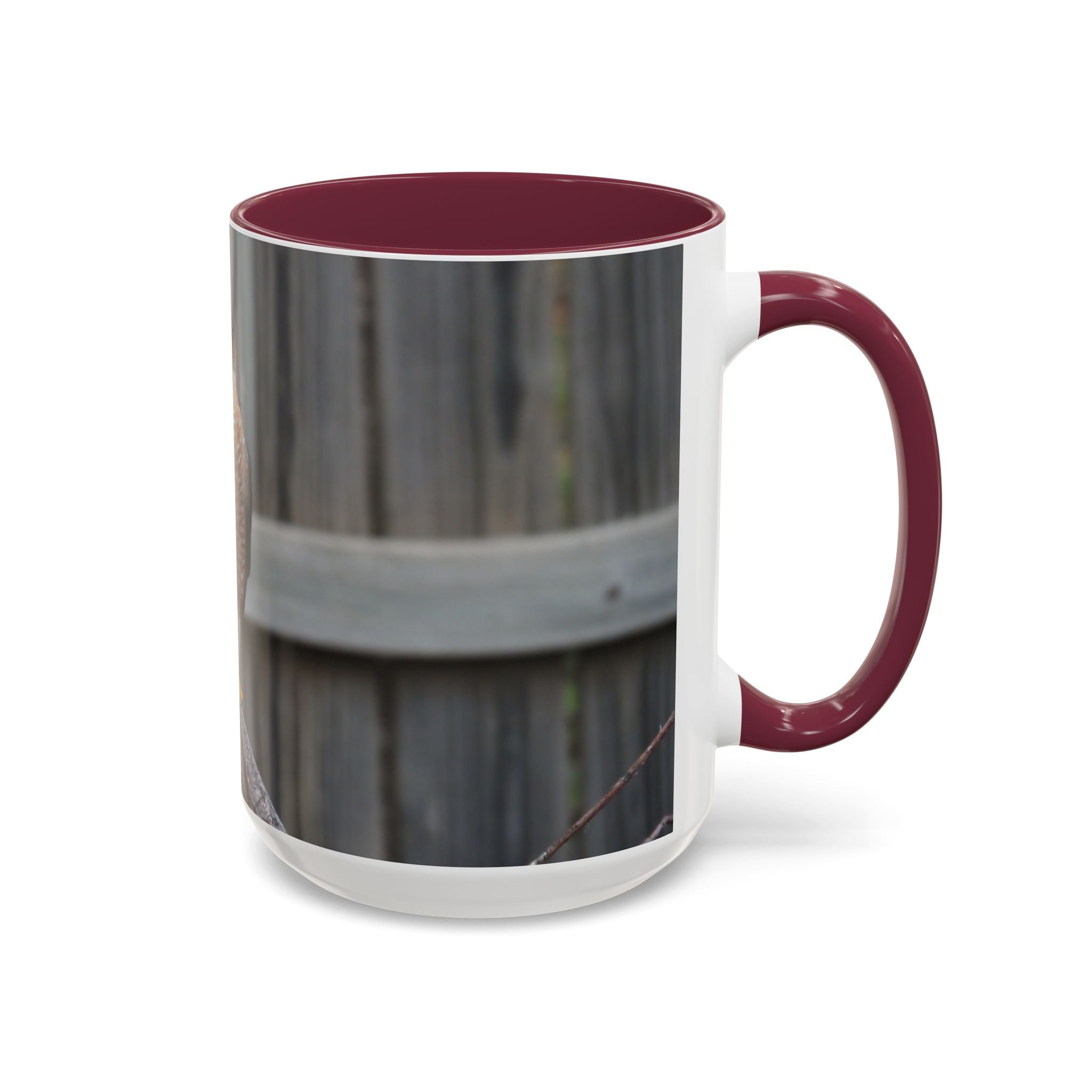 Hawk Photo Mug (11oz/15oz) — Wildlife Coffee Cup with Sharp-Shinned Hawk Image