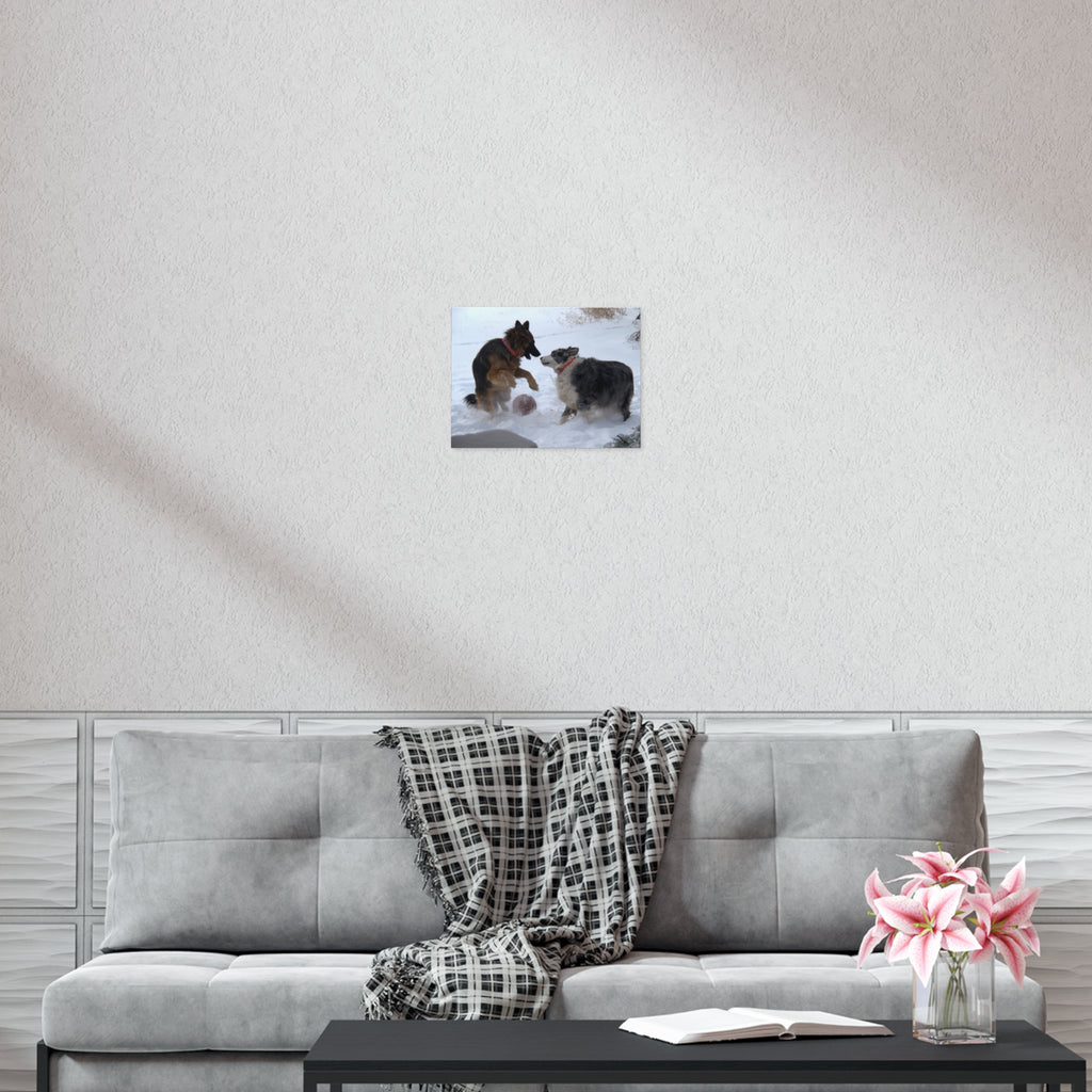 Dog Playful Winter Photo Poster — Two Dogs Playing in Snow Wall Art