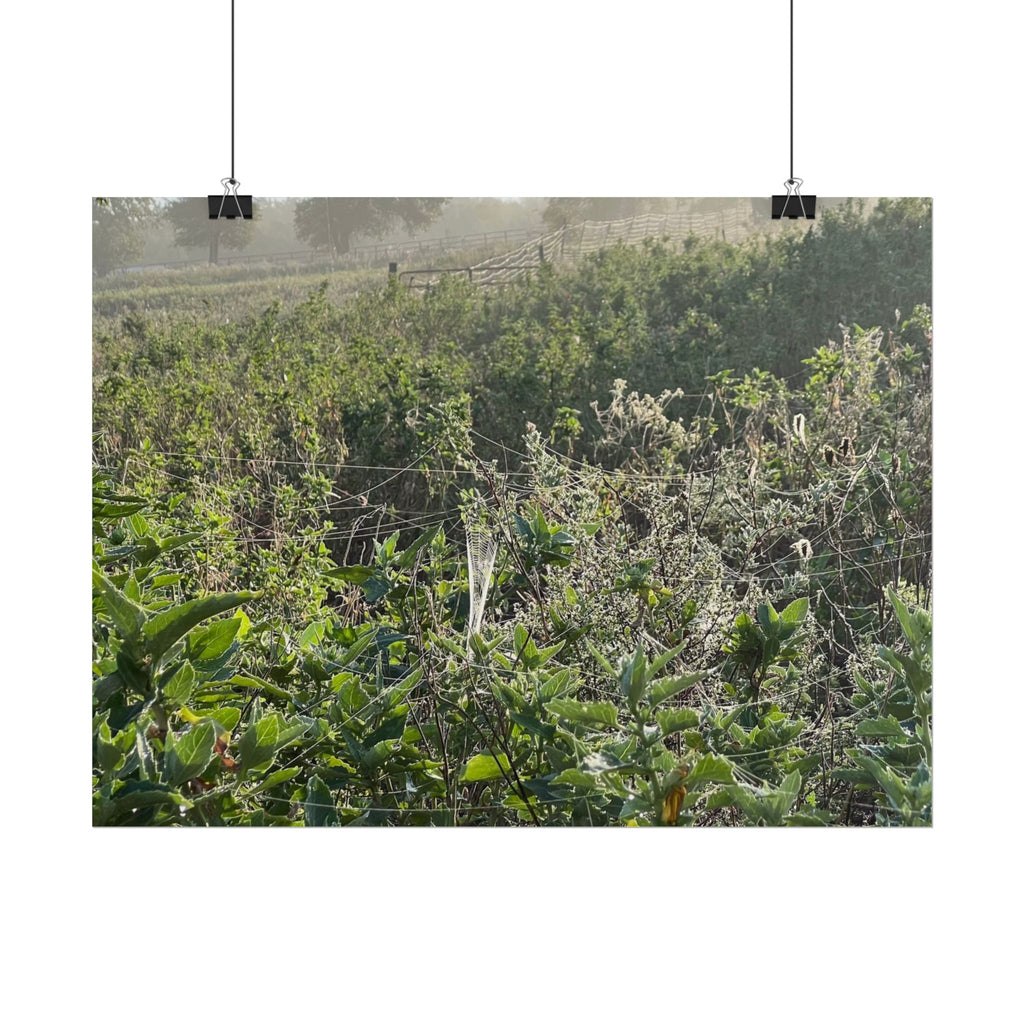 Morning Meadow Rolled Poster — Misty Wildflower Landscape Wall Art