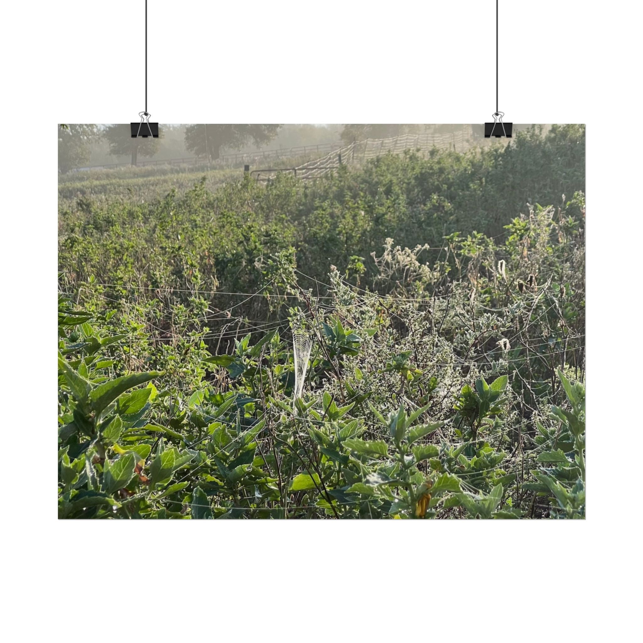 Morning Meadow Rolled Poster — Misty Wildflower Landscape Wall Art