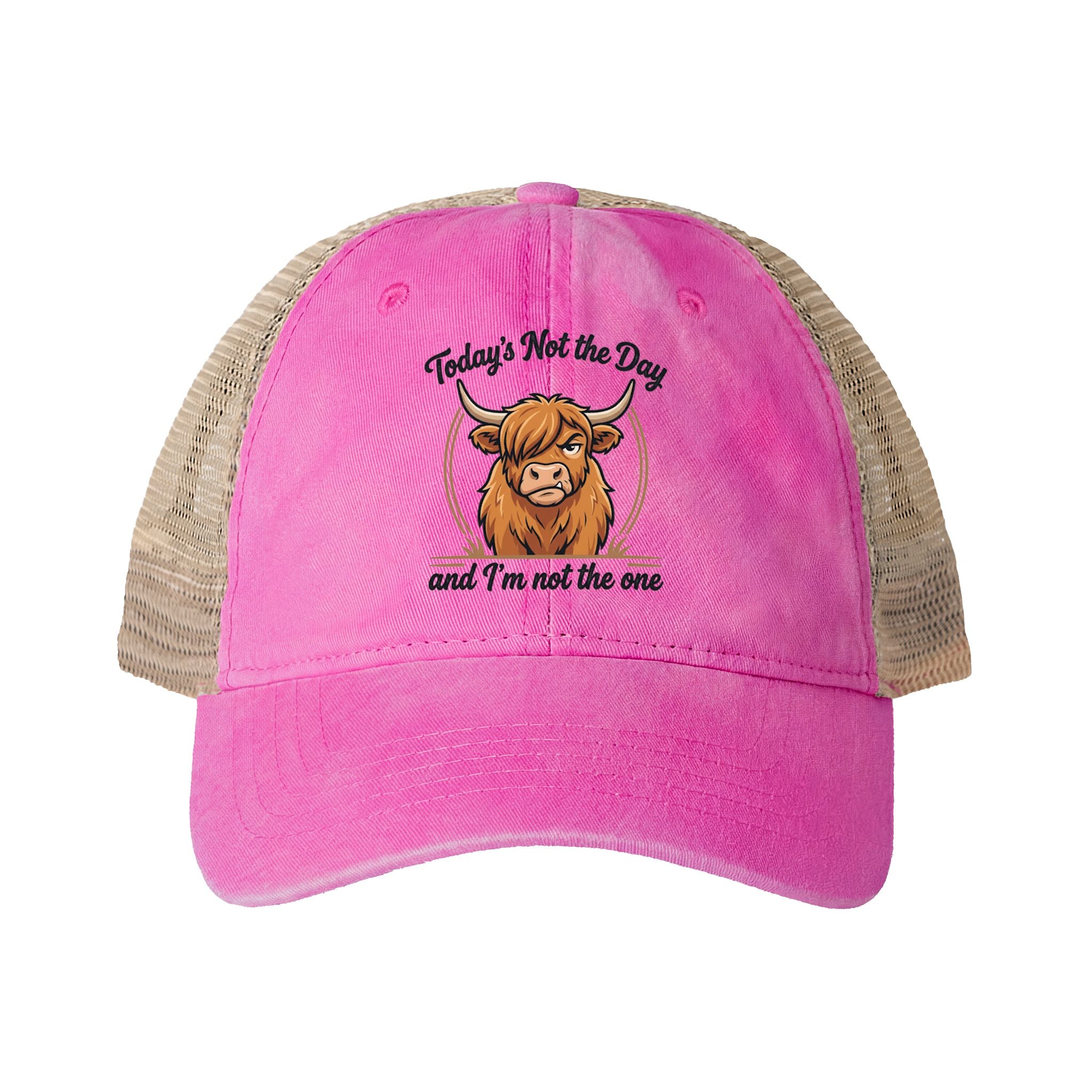 Todays not the Day Women's Washed Mesh-Back Cap