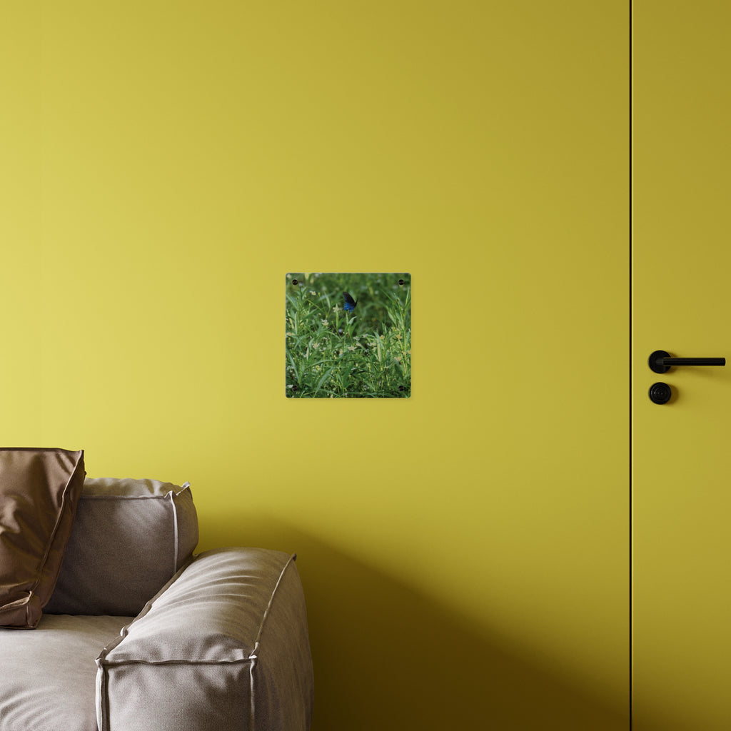 Acrylic Wall Art Panel – Blue Butterfly in Wildflower Meadow