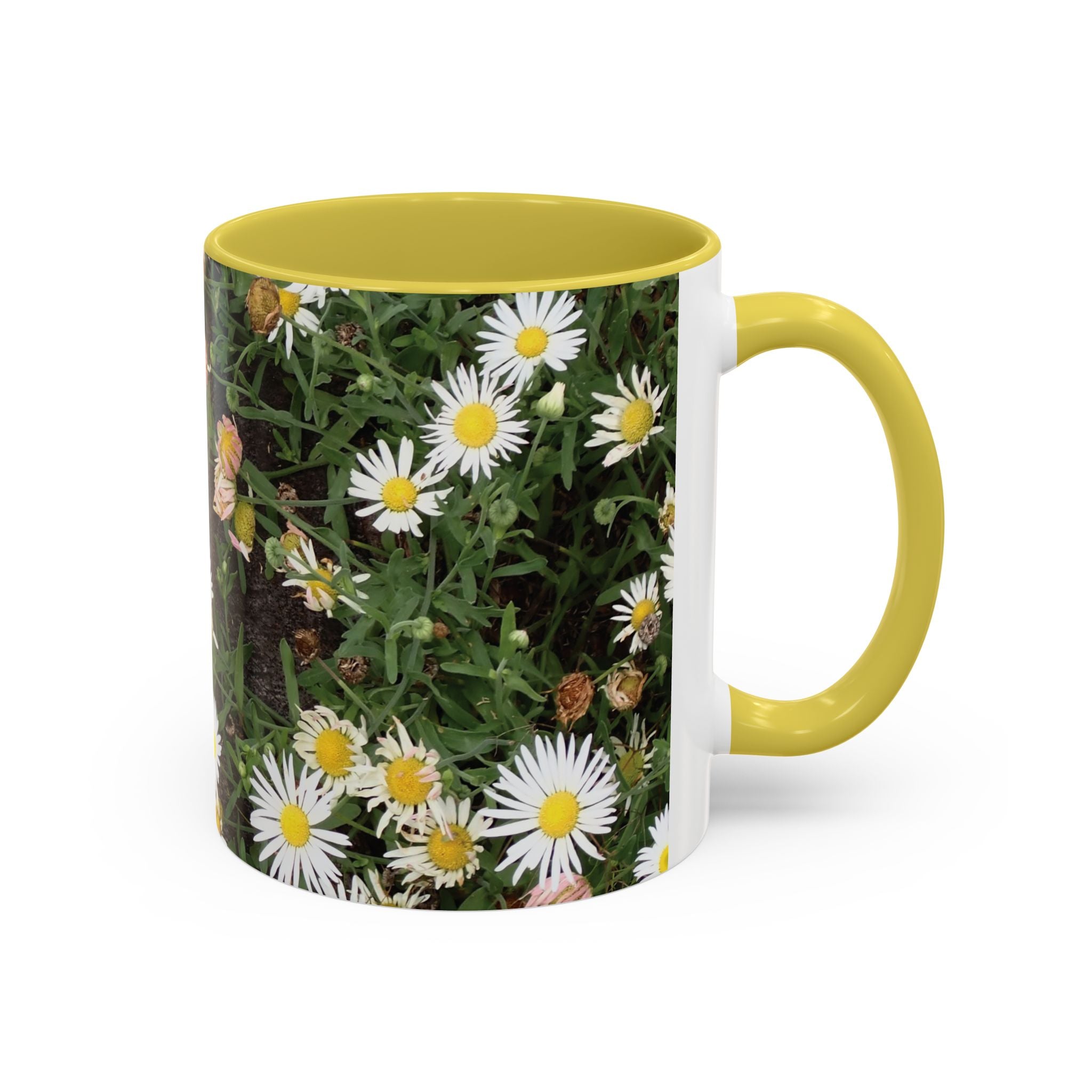 Daisy Floral Coffee Mug (11oz & 15oz) — White Daisies on Rustic Wood Background