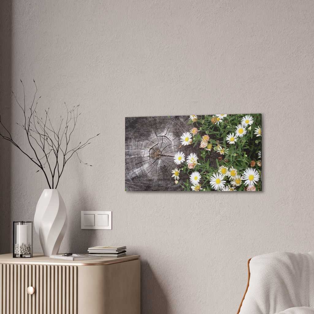Daisies on Weathered Wood Canvas Wall Art