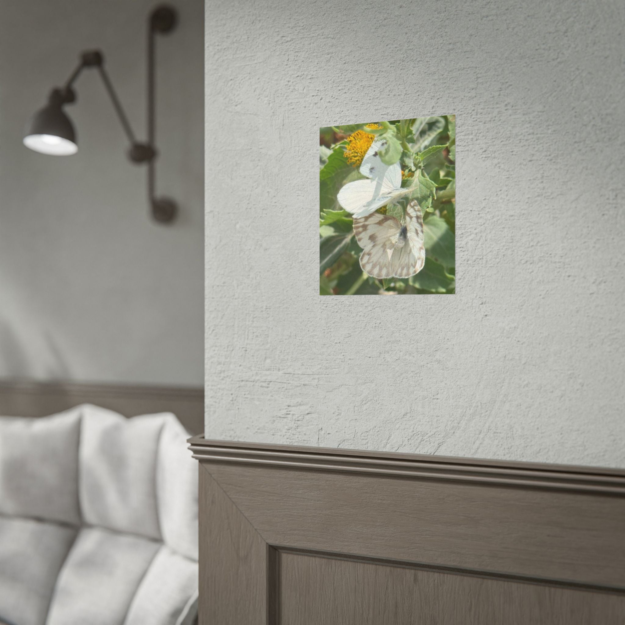 Butterfly Close-Up Rolled Poster — Nature Photography Wall Art