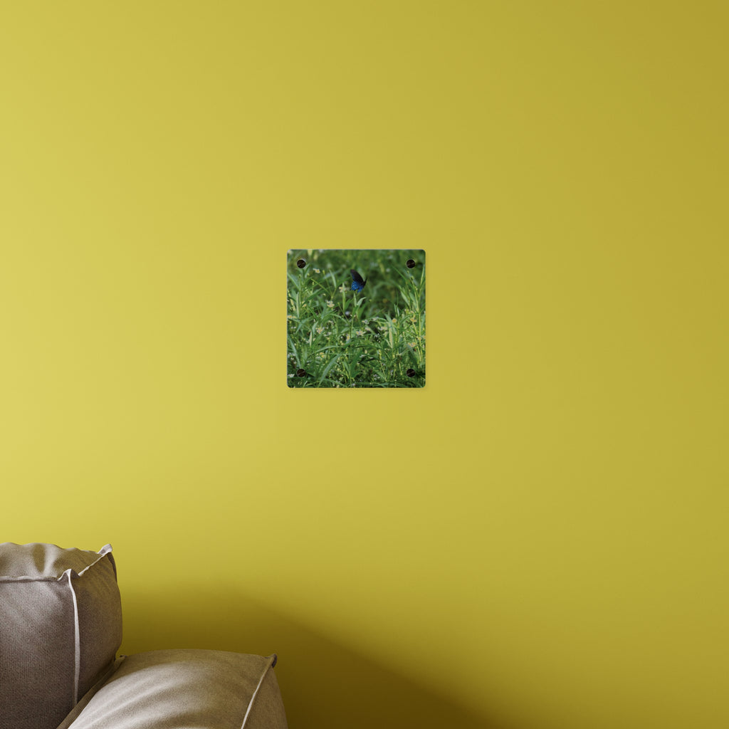 Acrylic Wall Art Panel – Blue Butterfly in Wildflower Meadow