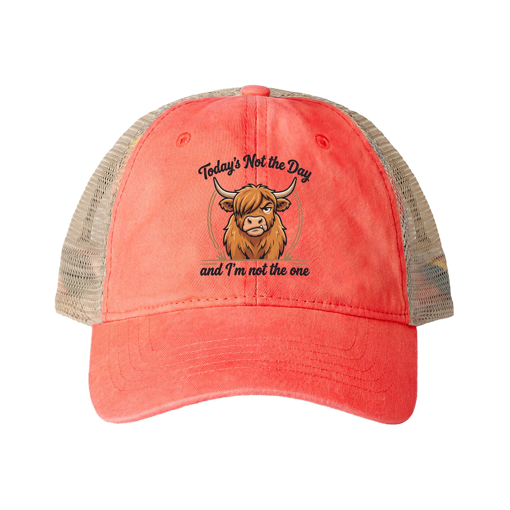 Todays not the Day Women's Washed Mesh-Back Cap