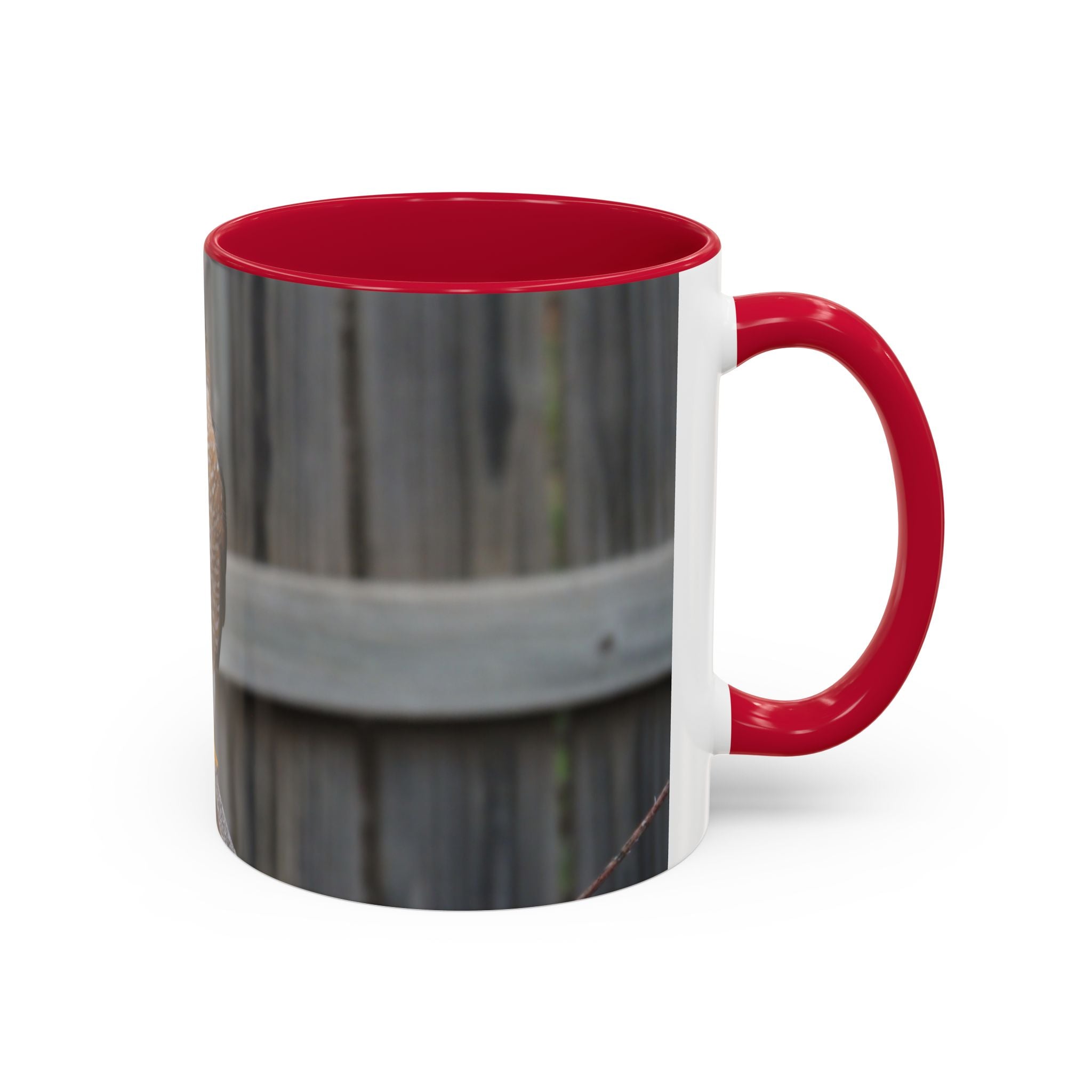 Hawk Photo Mug (11oz/15oz) — Wildlife Coffee Cup with Sharp-Shinned Hawk Image