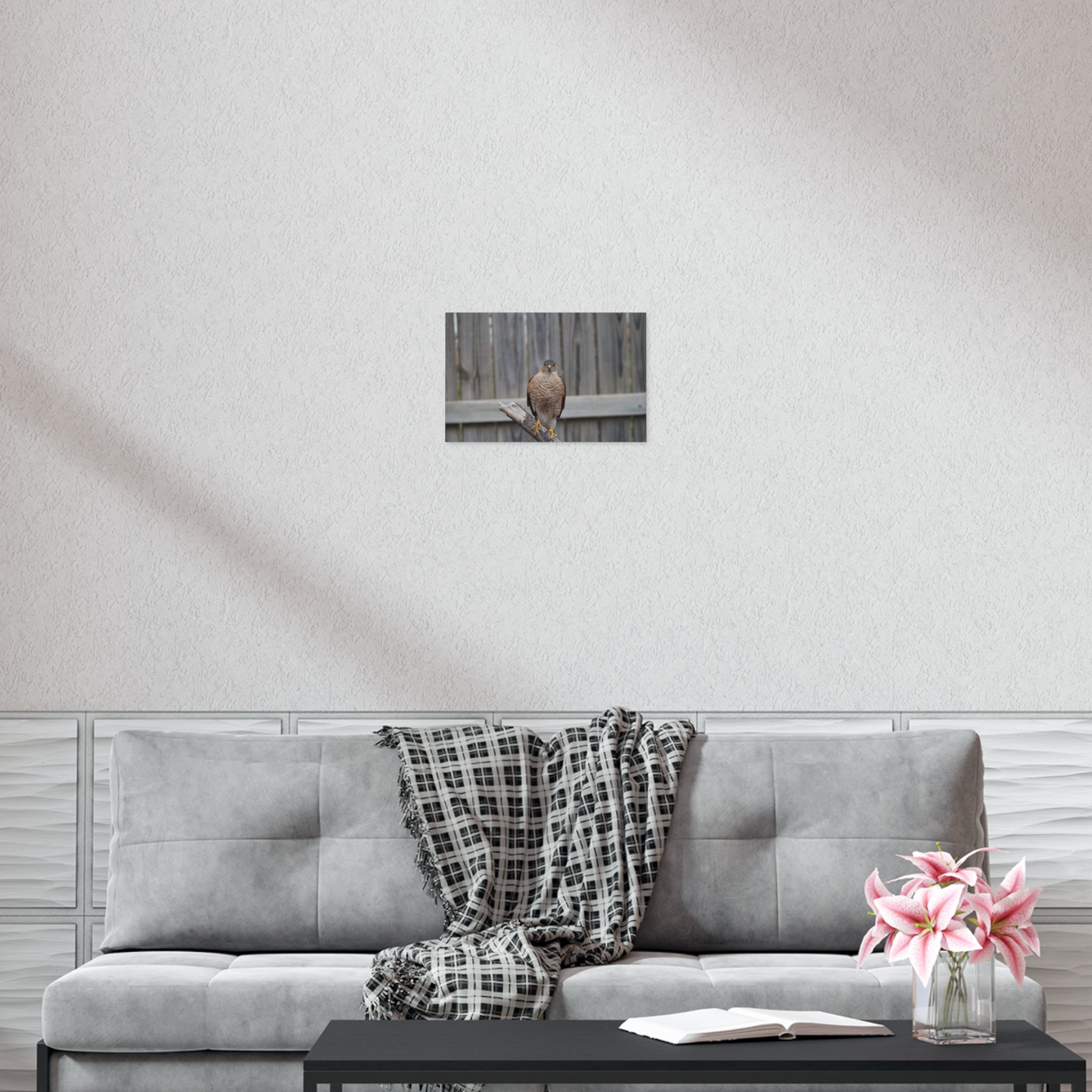 Sharp-Shinned Hawk Photo Poster — Wild Bird Wall Art Print