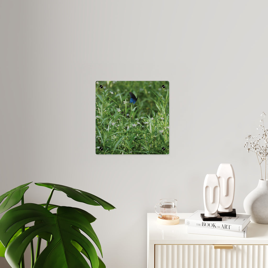 Acrylic Wall Art Panel – Blue Butterfly in Wildflower Meadow
