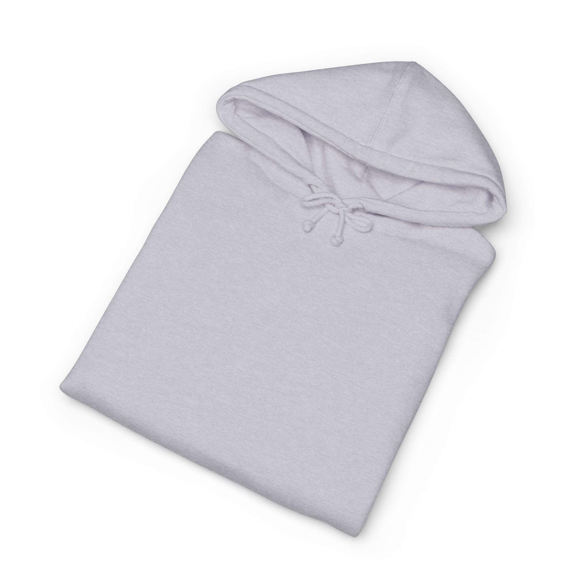 Hoodie — "Today's Not the Day" Highland Cow Graphic Hoodie