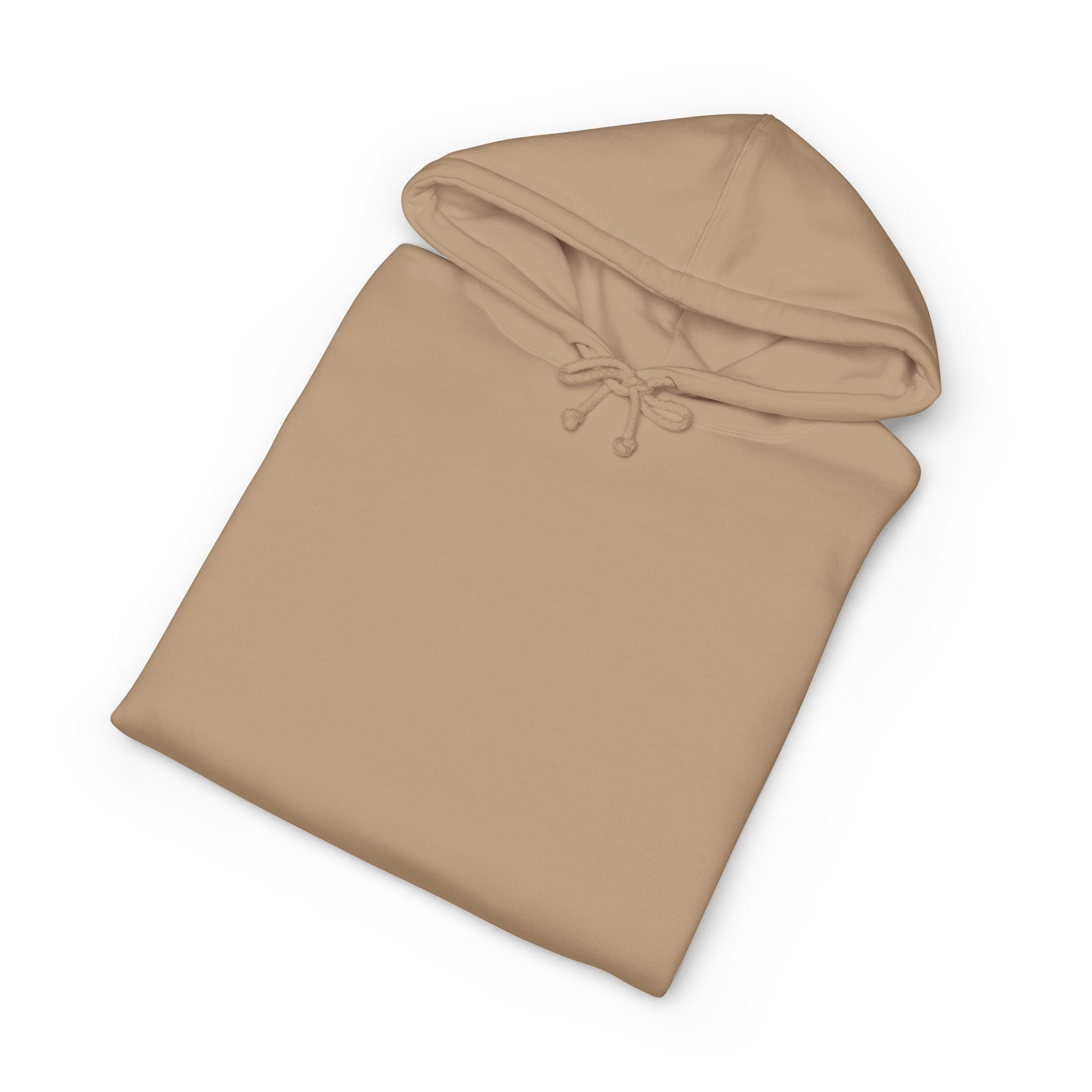Hoodie — "Today's Not the Day" Highland Cow Graphic Hoodie