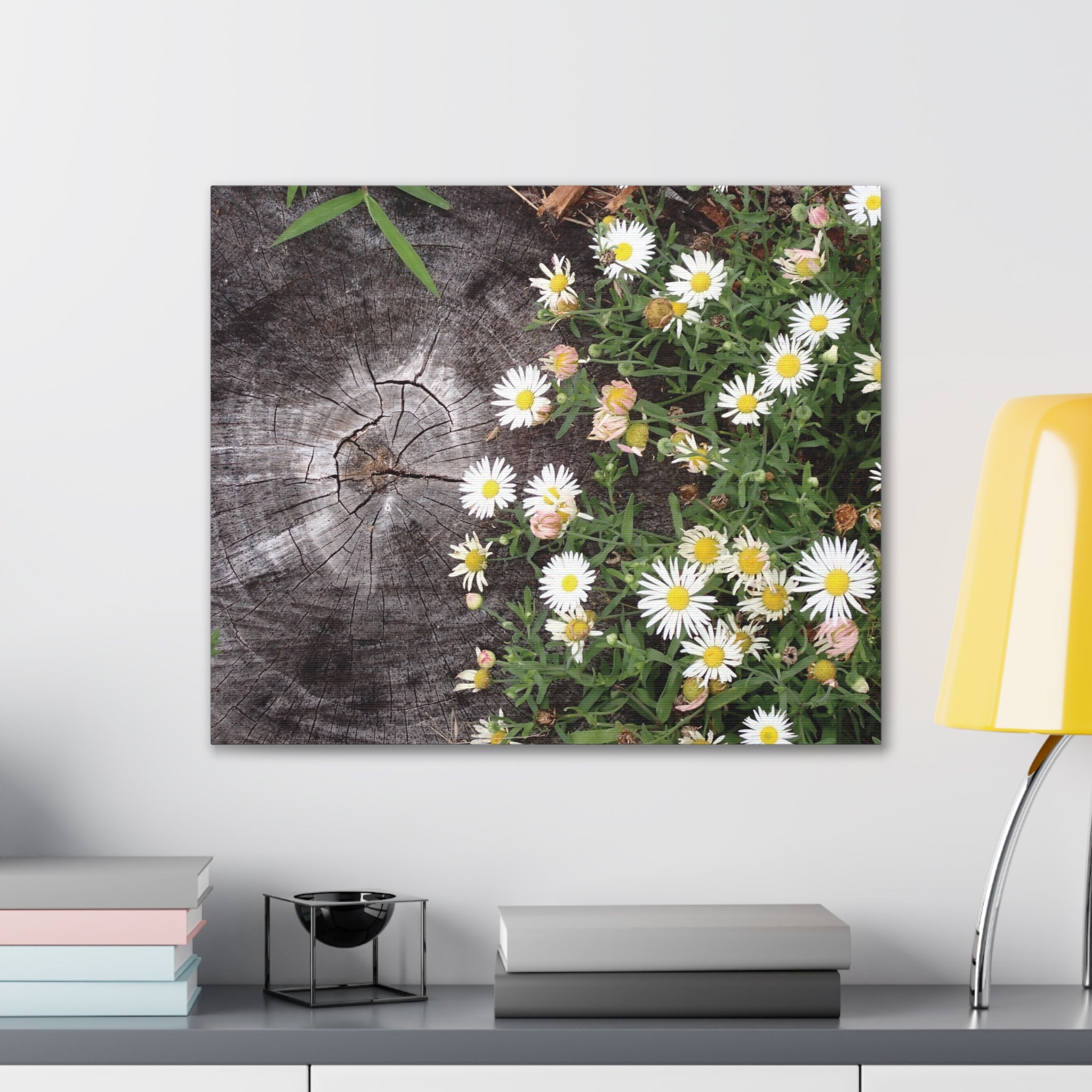 Daisies on Weathered Wood Canvas Wall Art