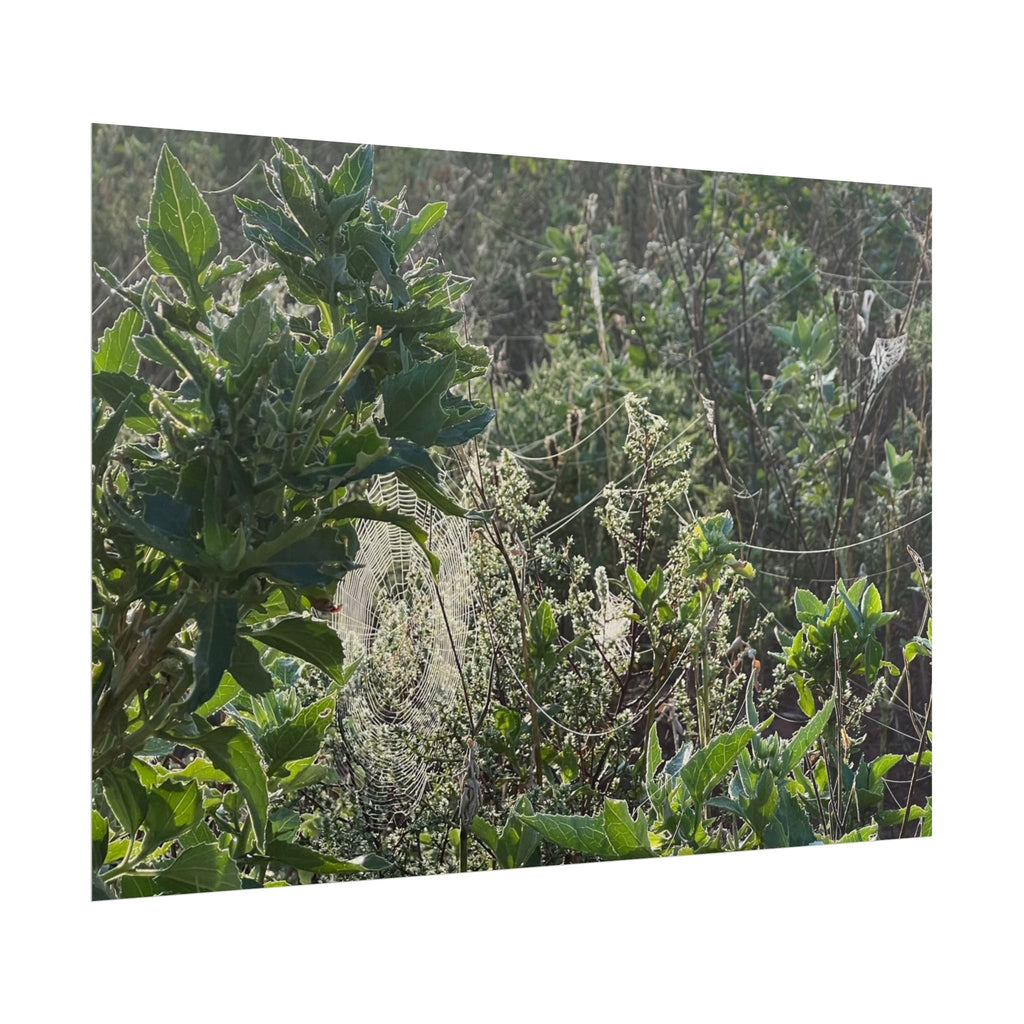 Botanical Greenery Poster — Wild Meadow Spider Web Rolled Art Print