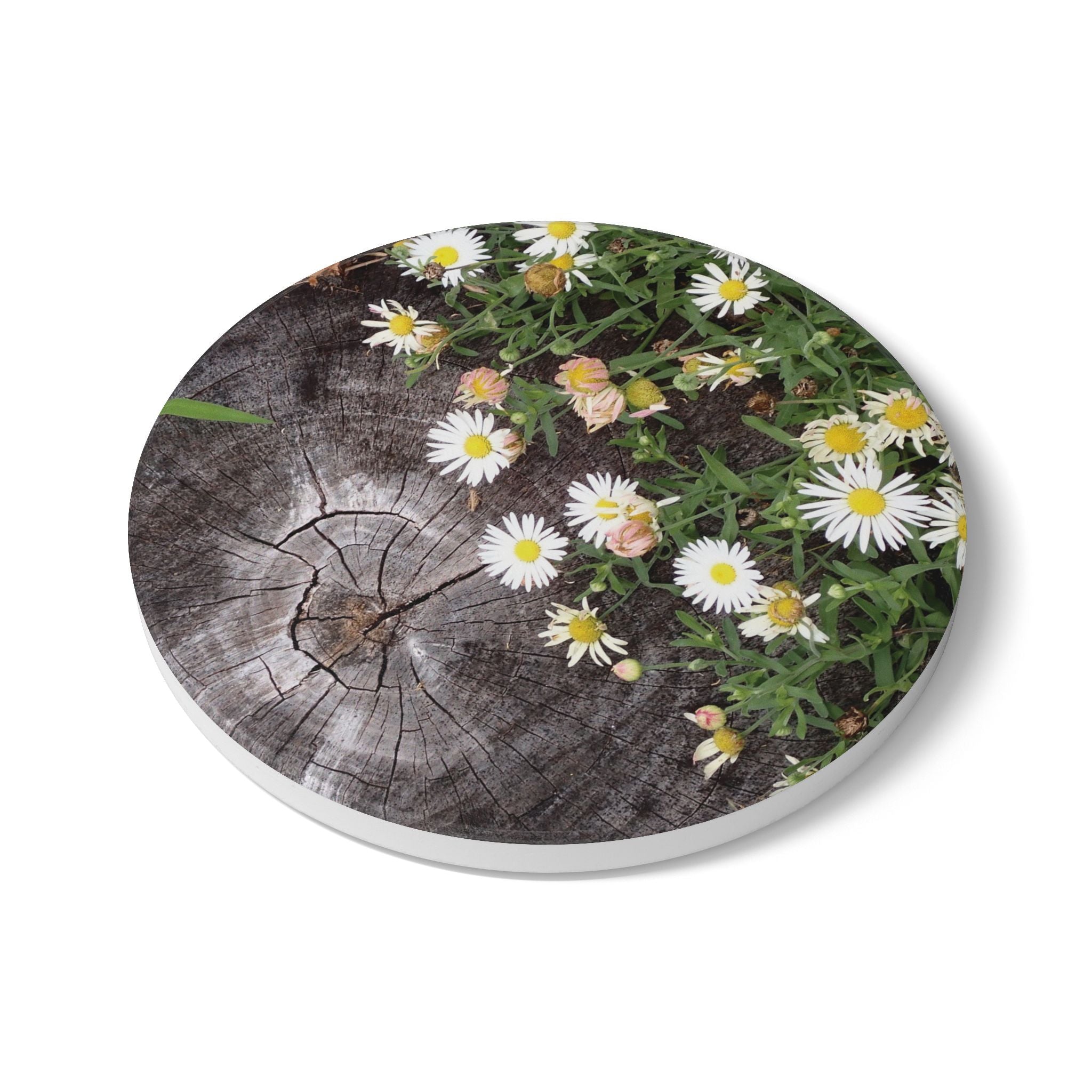 Daisy Meadow Ceramic Coaster — Rustic Wood Stump Floral Drink Mat