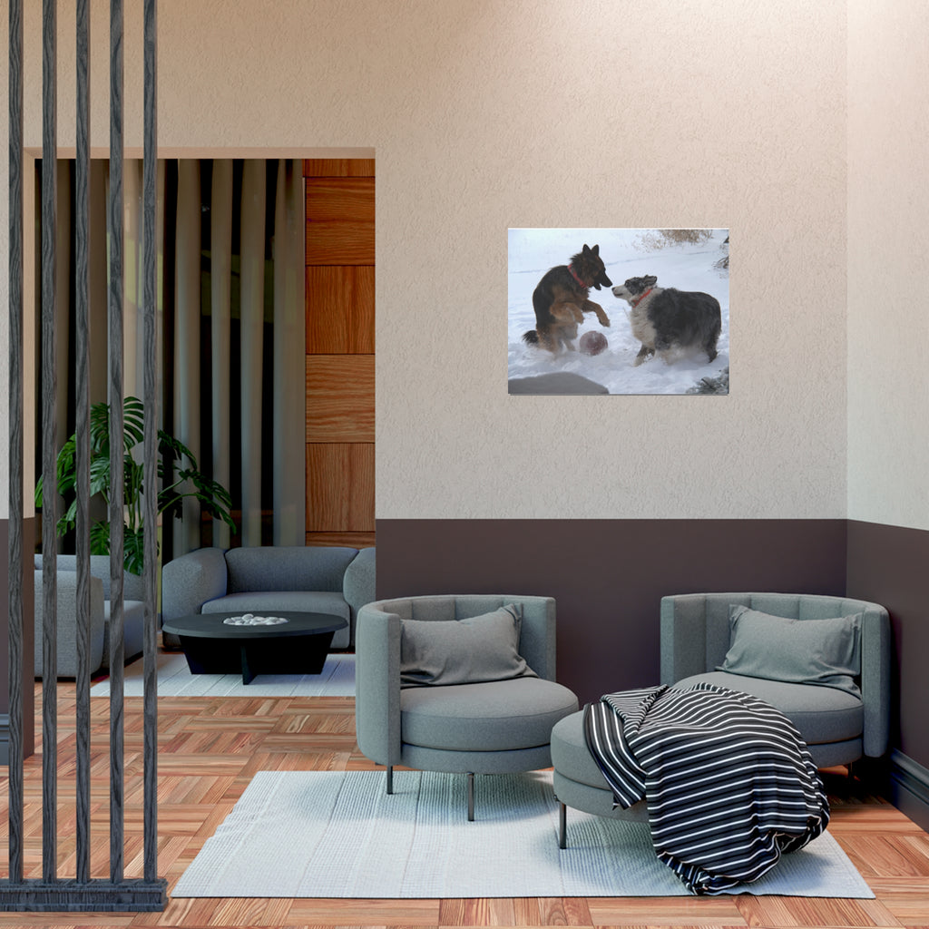 Dog Playful Winter Photo Poster — Two Dogs Playing in Snow Wall Art