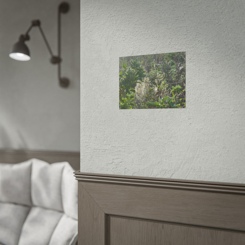 Botanical Greenery Poster — Wild Meadow Spider Web Rolled Art Print